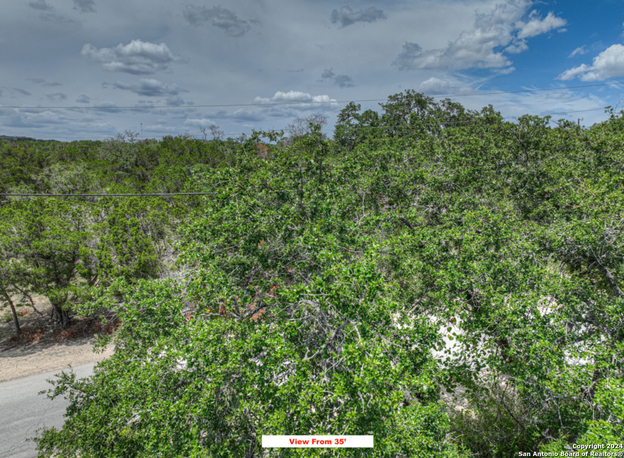 0 Contour Drive Spring Branch, TX 78070 - Photo 8 of 21 Gallery Image 8