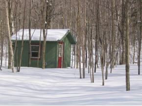 1319 French Settlement Road Lincoln, VT 05443 - Photo 2 of 5 Gallery Image 2