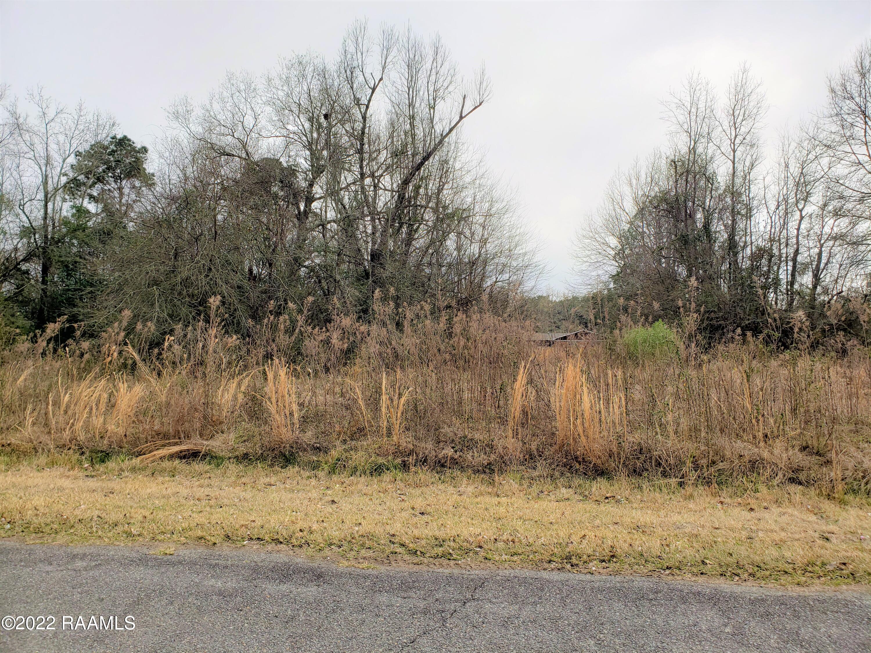Tbd MacArthur Road Ville Platte, LA 70586 - Photo 4 of 6