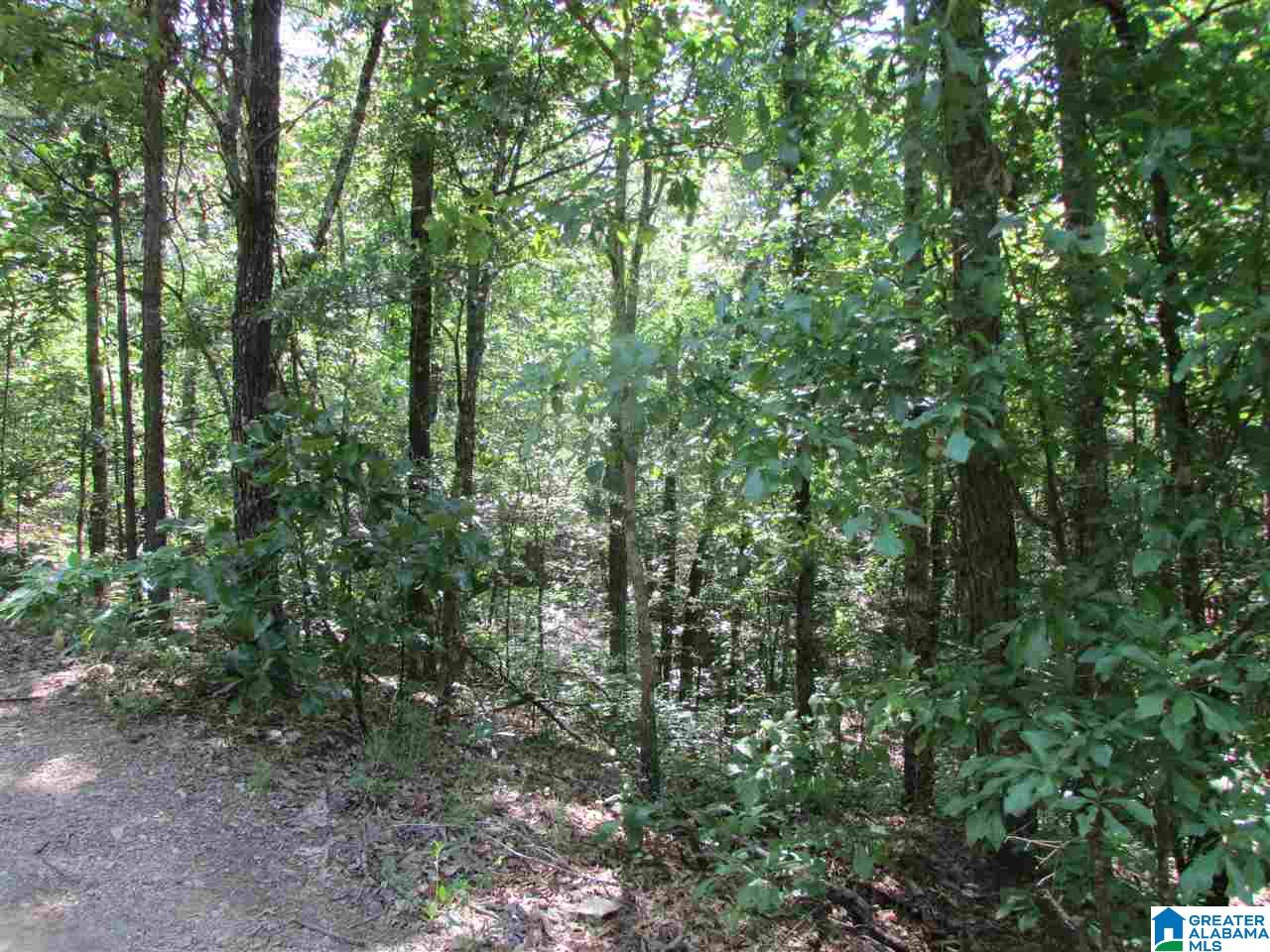 Greenwood Road, Unit 2 Wilsonville, AL 35186 - Photo 1 of 2