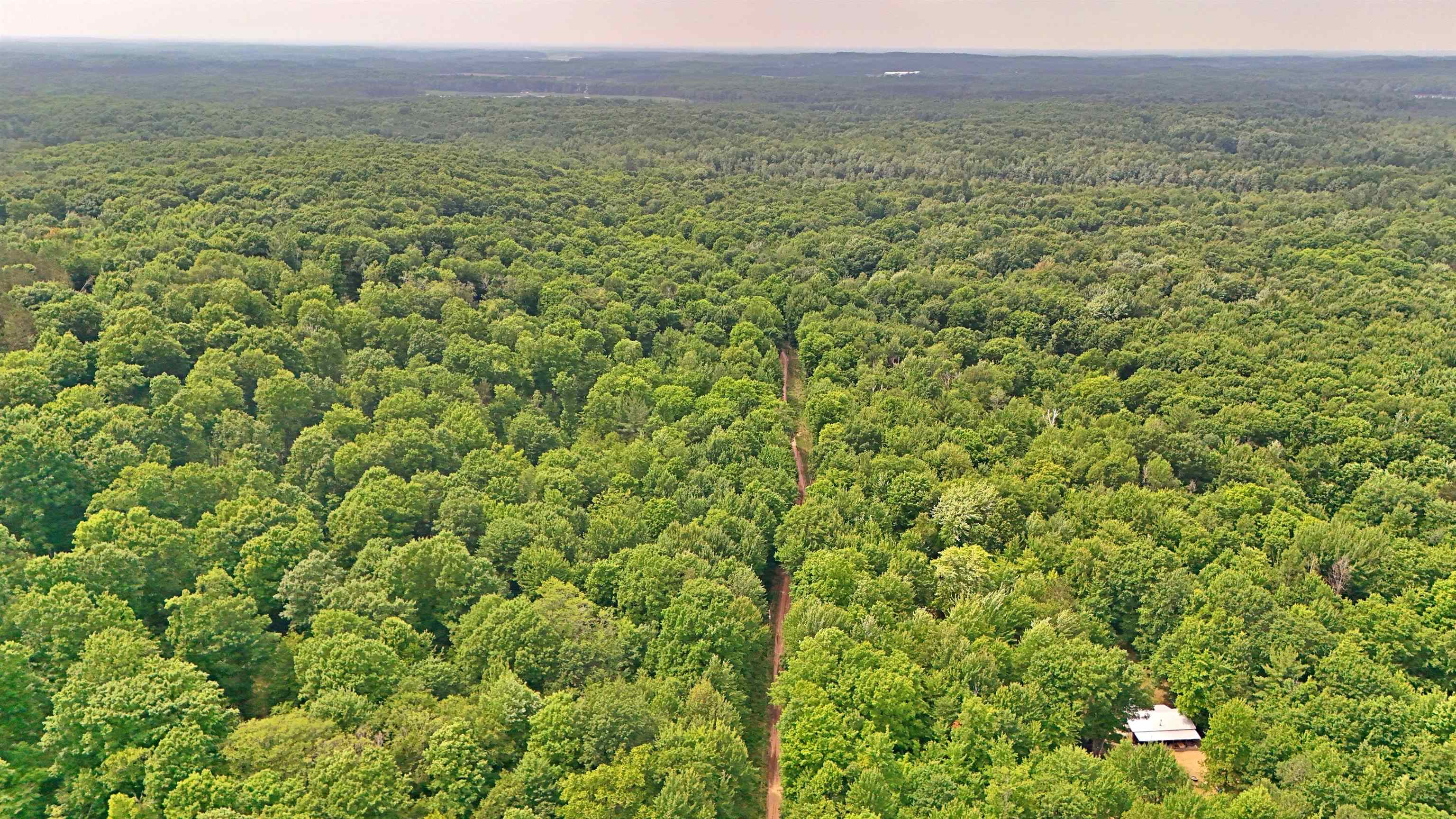 Vl 00 Cherry Hill Road Fife Lake, MI 49633 - Photo 12 of 26