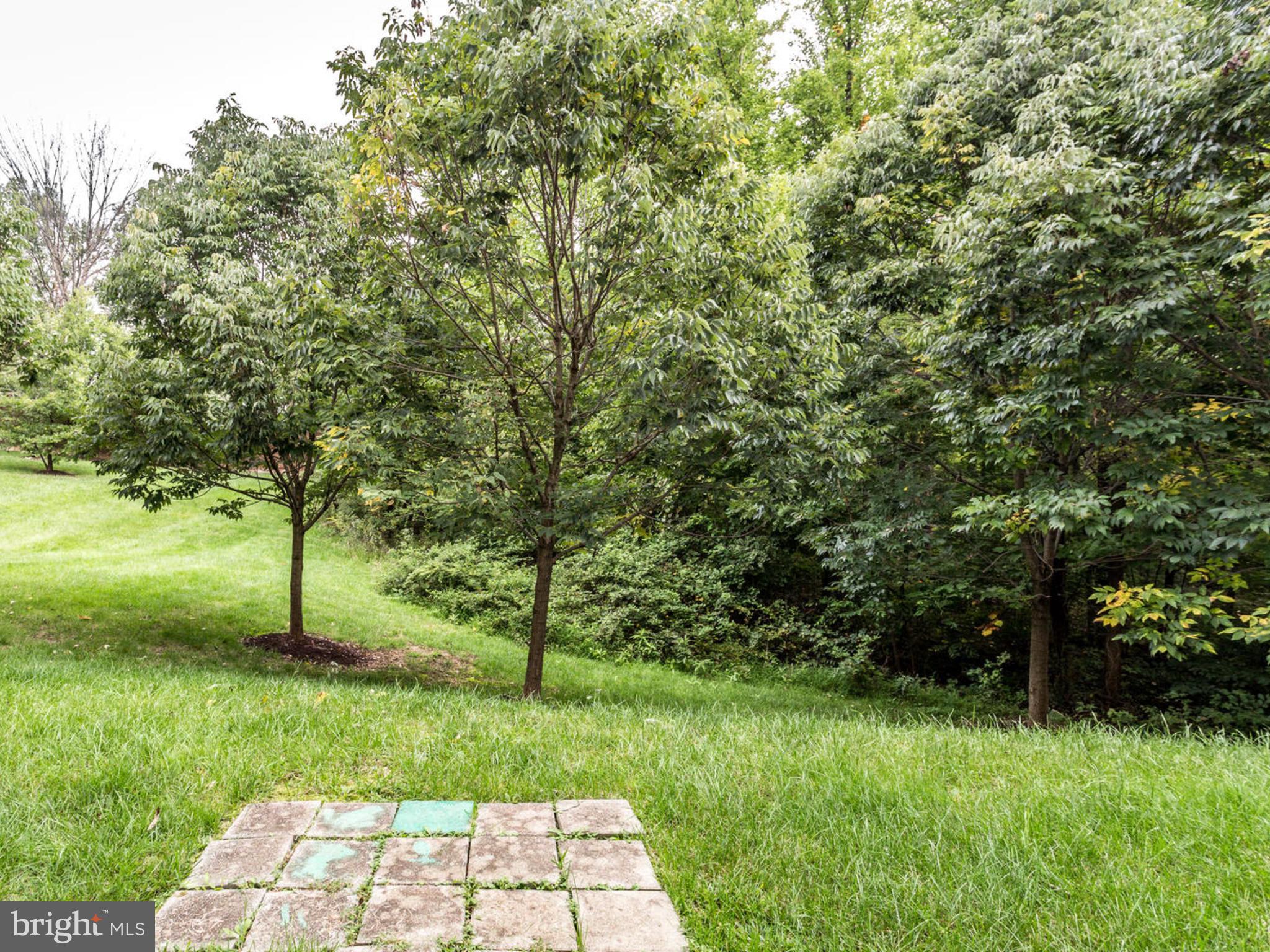 7150 Water Oak Road, Unit 253 Elkridge, MD 21075 - Photo 35 of 44