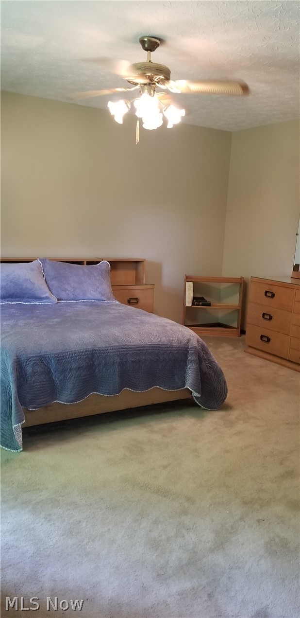 14806 Boston Road Strongsville, OH 44136 - Photo 21 of 28 Generous Size Master Bedroom