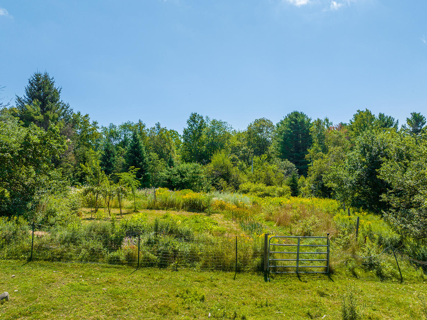 712 Halldale Road Montville, ME 04941 - Photo 63 of 75 DJI_0222
