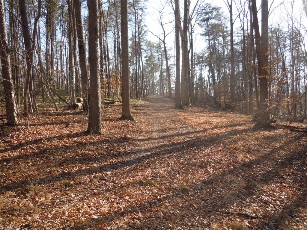 8 Phillips Mill Road Pinnacle, NC 27043 - Photo 1 of 11
