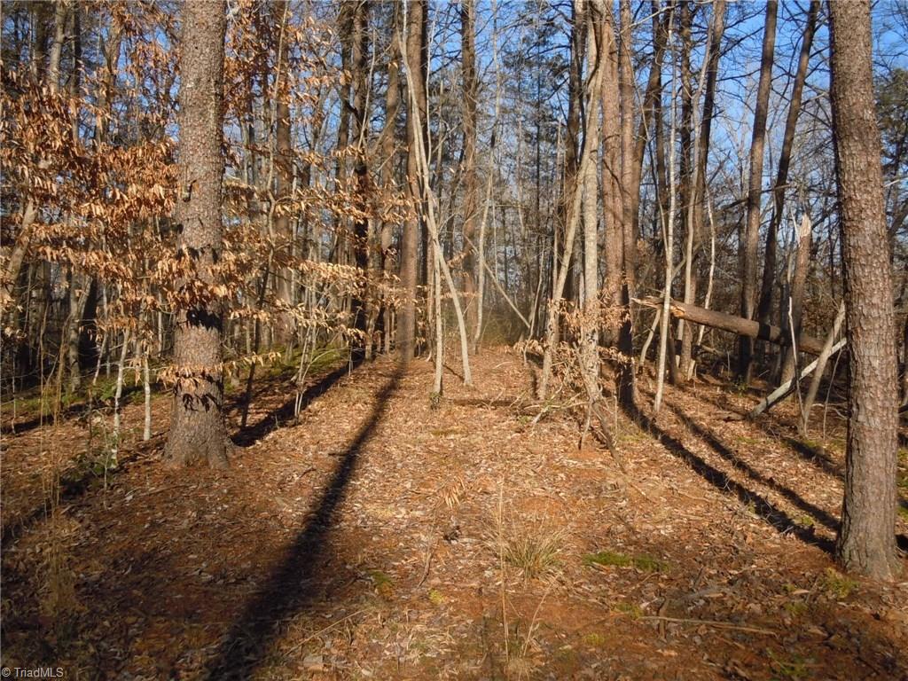 8 Phillips Mill Road Pinnacle, NC 27043 - Photo 2 of 11