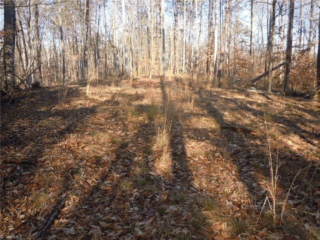 8 Phillips Mill Road Pinnacle, NC 27043 - Photo 3 of 11