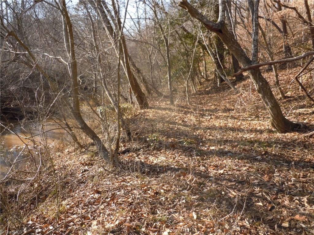 8 Phillips Mill Road Pinnacle, NC 27043 - Photo 5 of 11