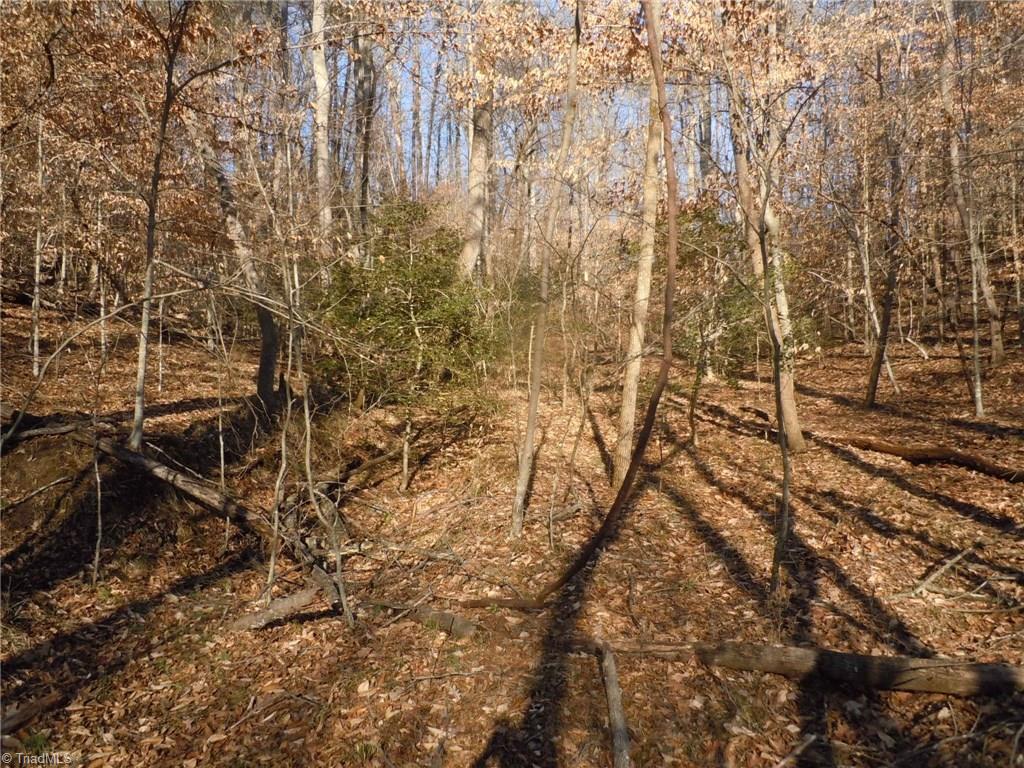 8 Phillips Mill Road Pinnacle, NC 27043 - Photo 6 of 11