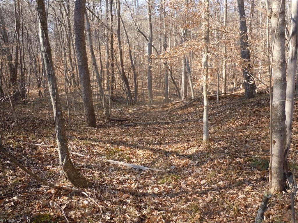 8 Phillips Mill Road Pinnacle, NC 27043 - Photo 9 of 11