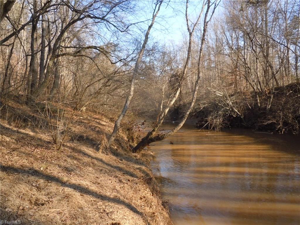 8 Phillips Mill Road Pinnacle, NC 27043 - Photo 10 of 11