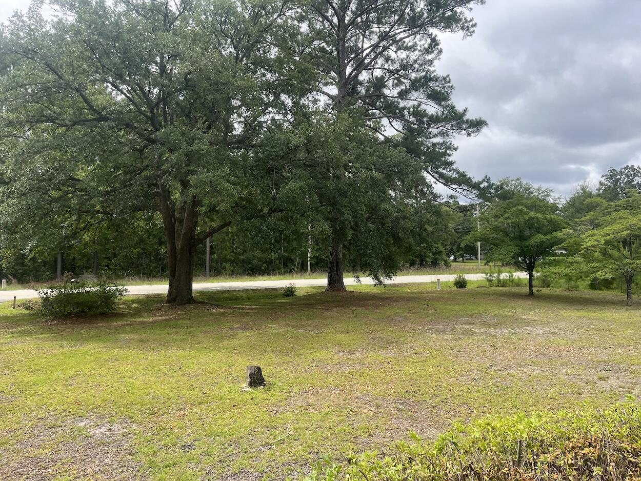 379 Chestnut Road Walterboro, SC 29488 - Photo 18 of 33 379ChestnutRd-18