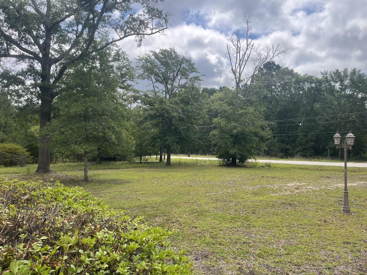 379 Chestnut Road Walterboro, SC 29488 - Photo 19 of 33 379ChestnutRd-19