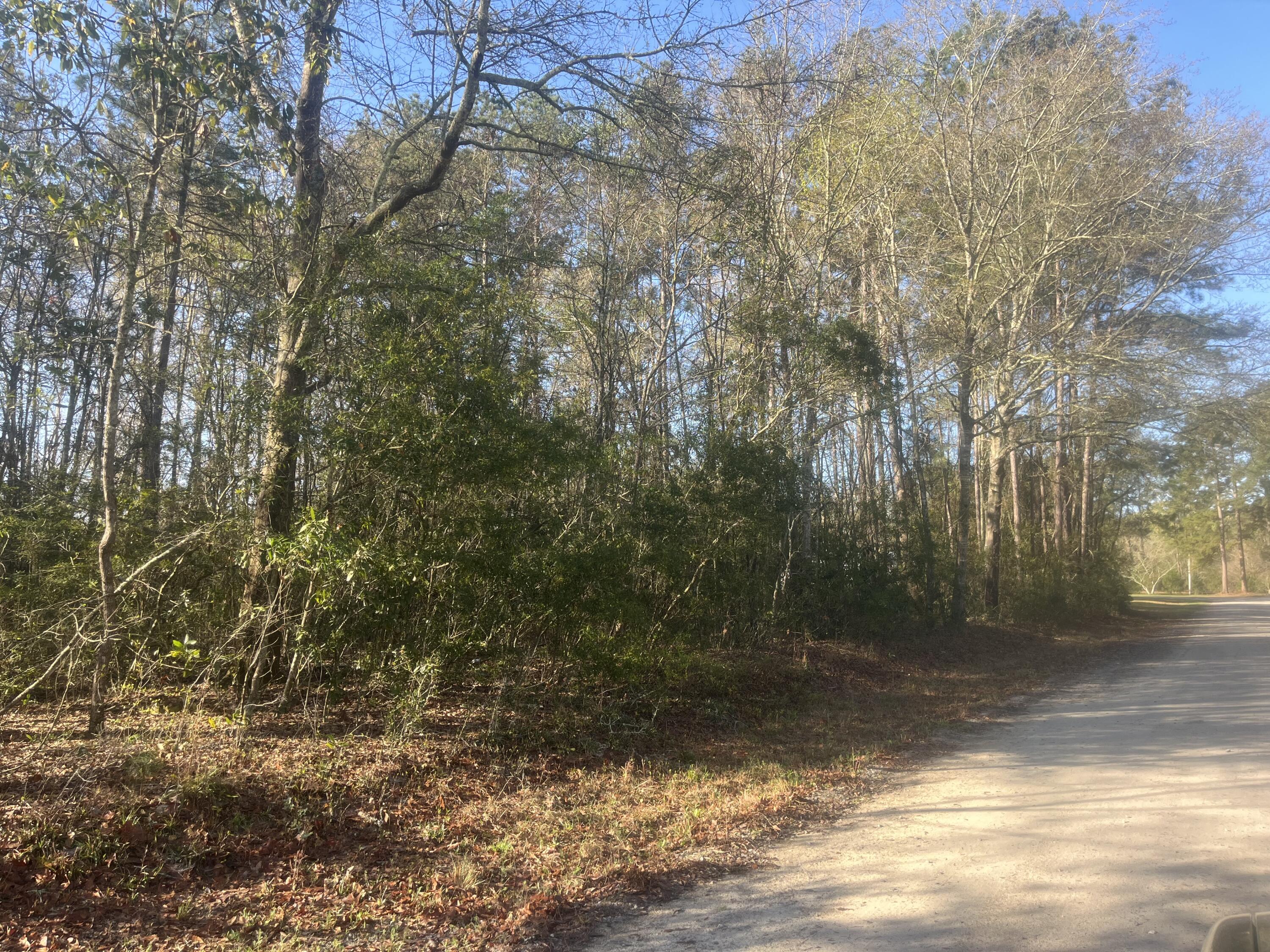 379 Chestnut Road Walterboro, SC 29488 - Photo 20 of 33 IMG_2846