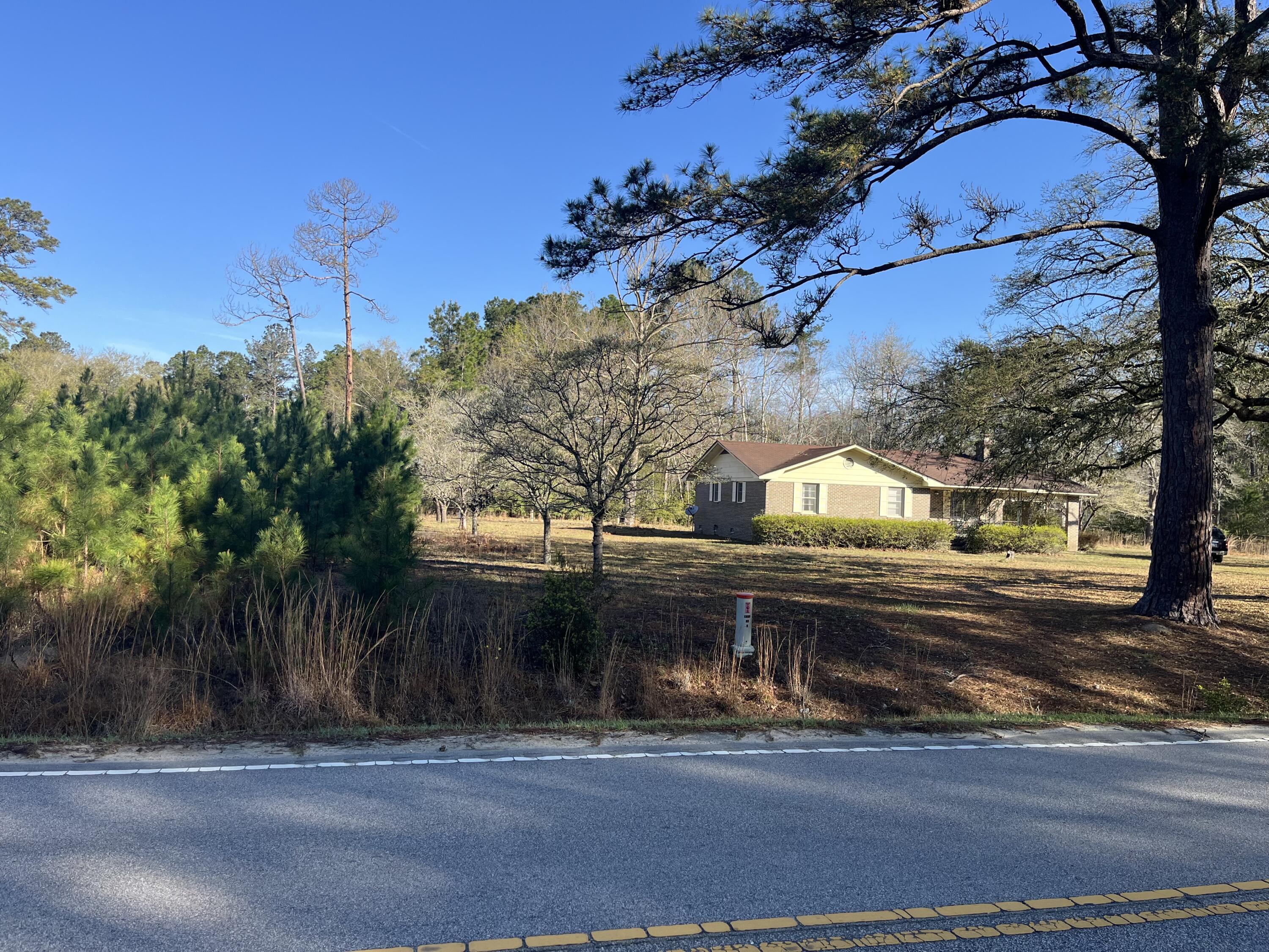 379 Chestnut Road Walterboro, SC 29488 - Photo 21 of 33 IMG_2847