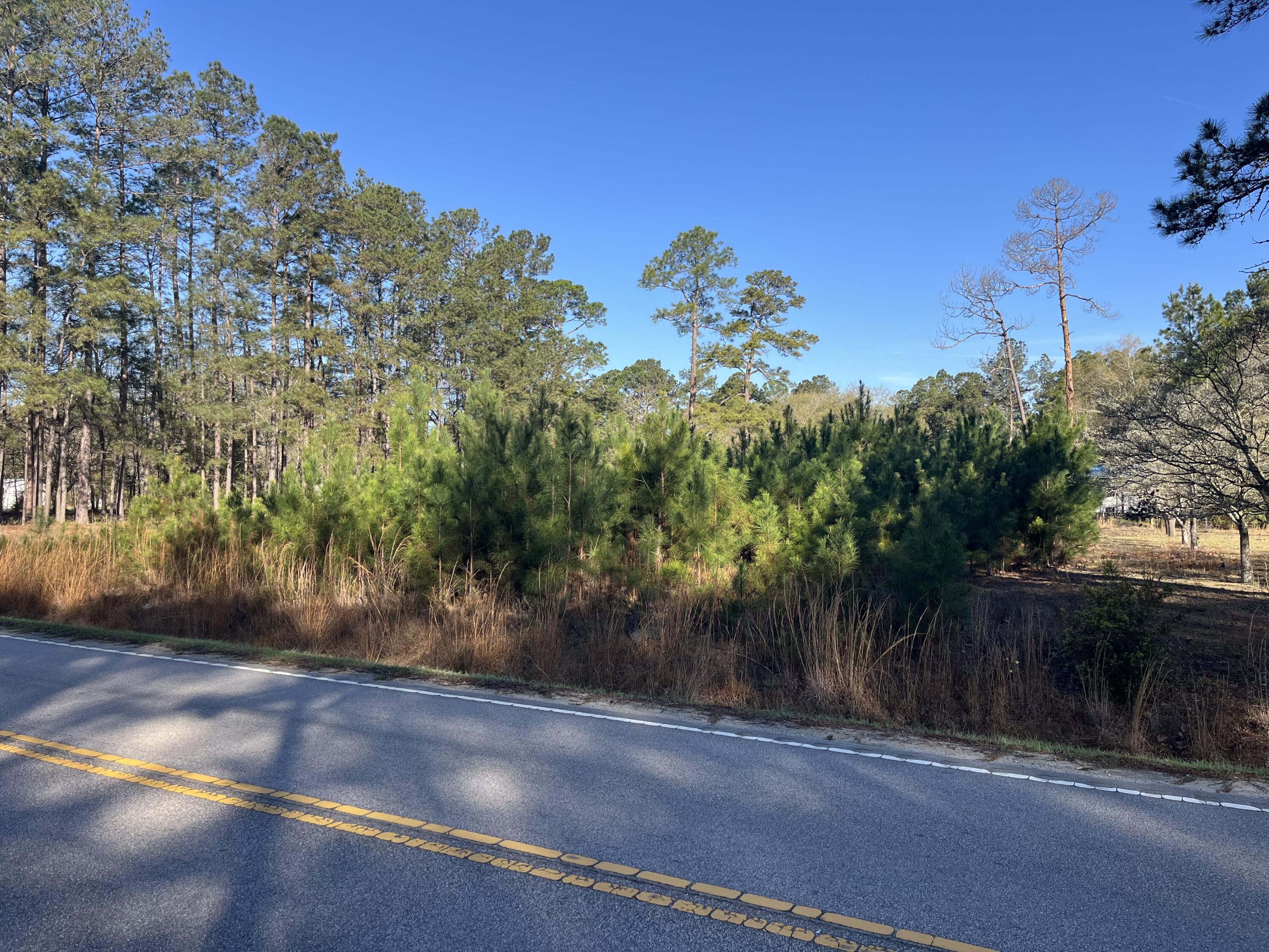 379 Chestnut Road Walterboro, SC 29488 - Photo 22 of 33 IMG_2851