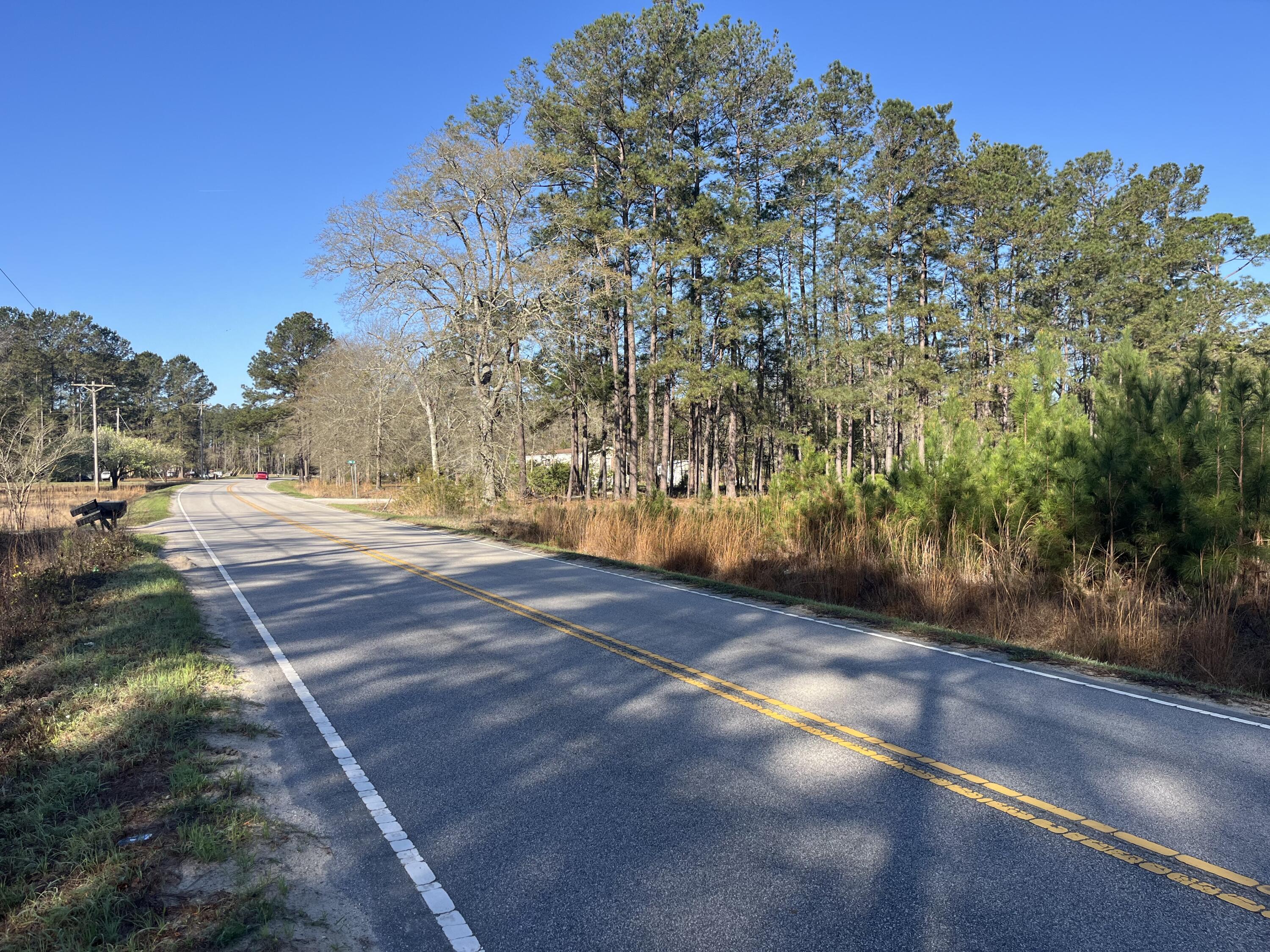 379 Chestnut Road Walterboro, SC 29488 - Photo 23 of 33 IMG_2853