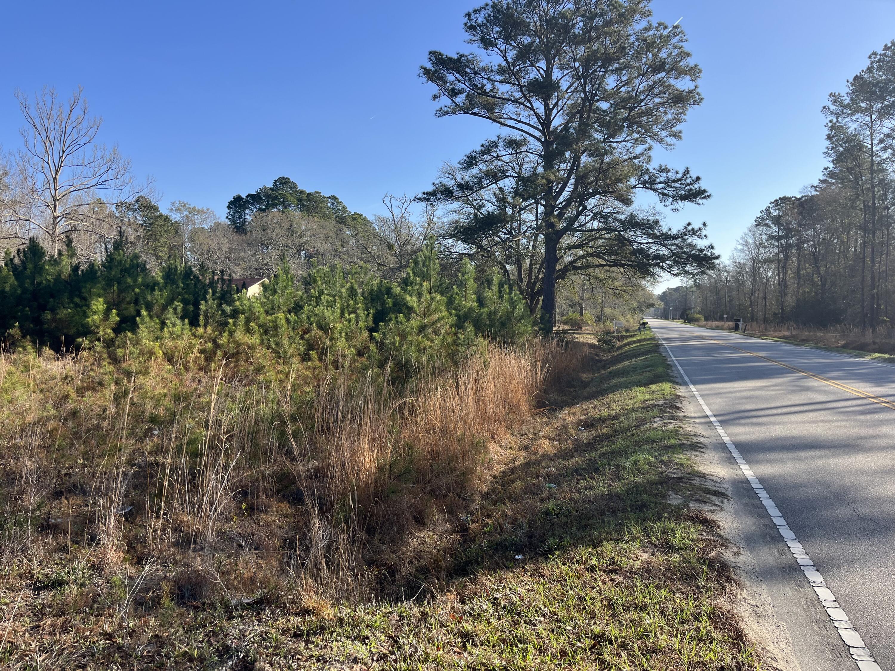 379 Chestnut Road Walterboro, SC 29488 - Photo 24 of 33 IMG_2854