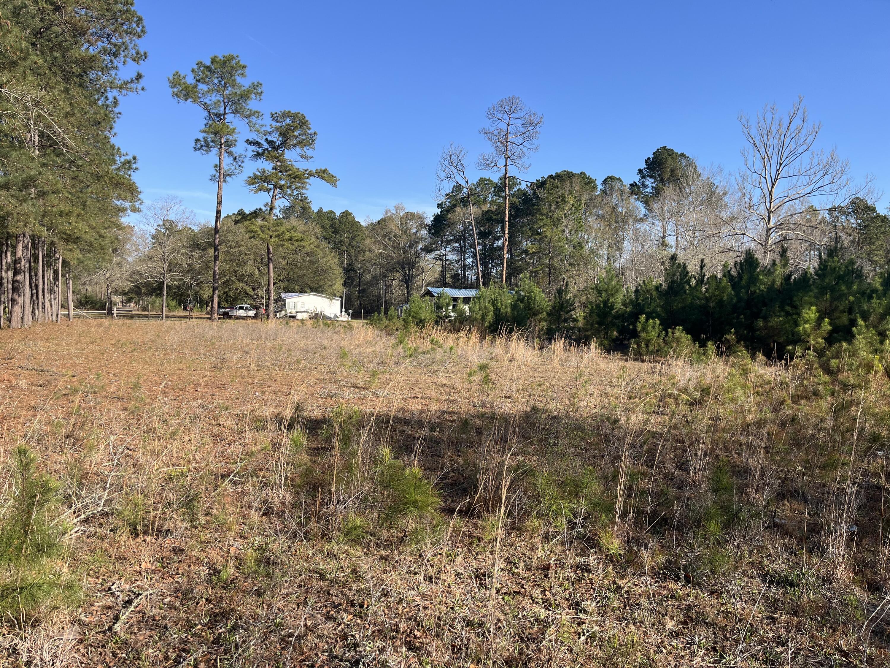 379 Chestnut Road Walterboro, SC 29488 - Photo 25 of 33 IMG_2856