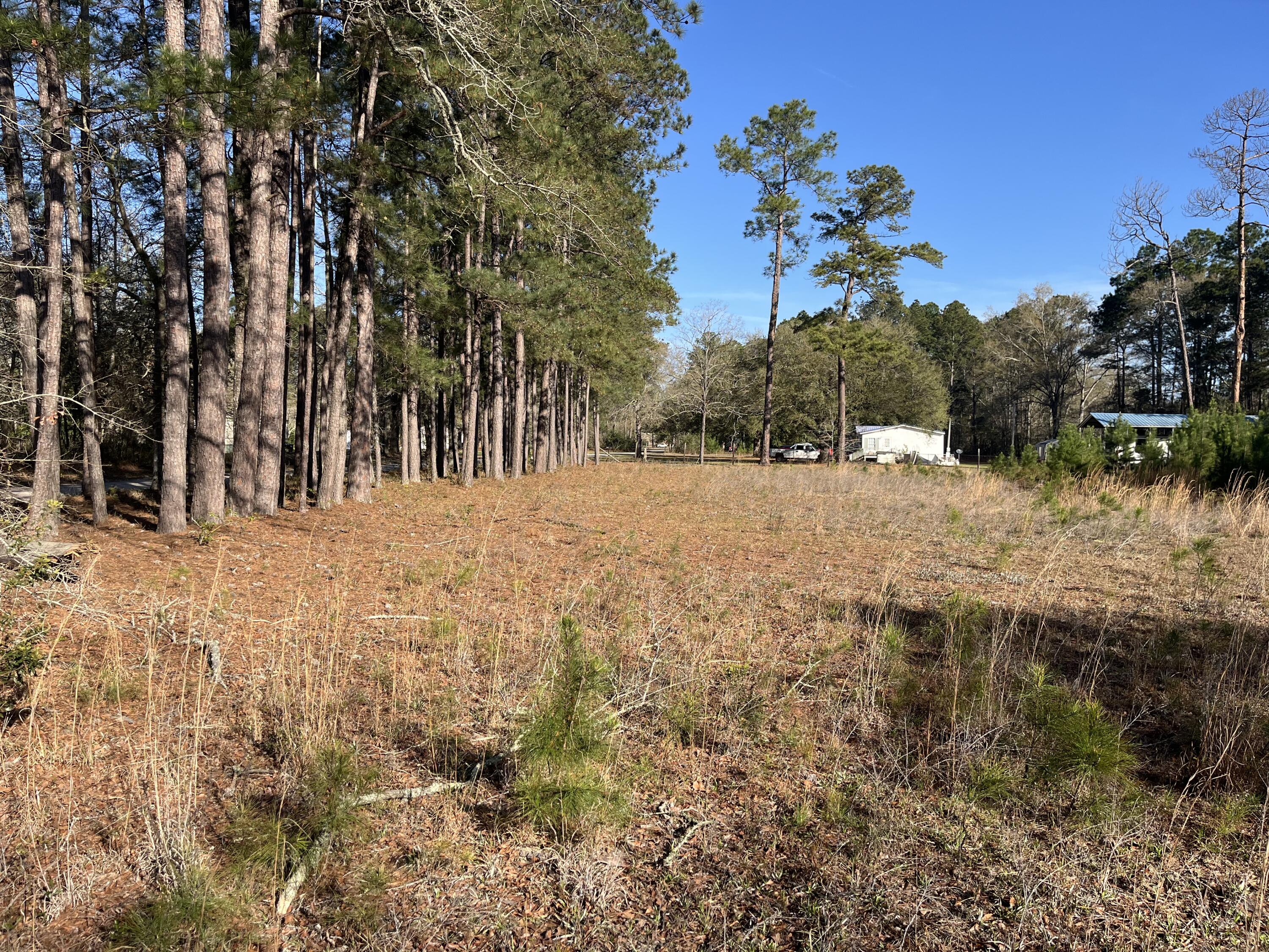 379 Chestnut Road Walterboro, SC 29488 - Photo 26 of 33 IMG_2857