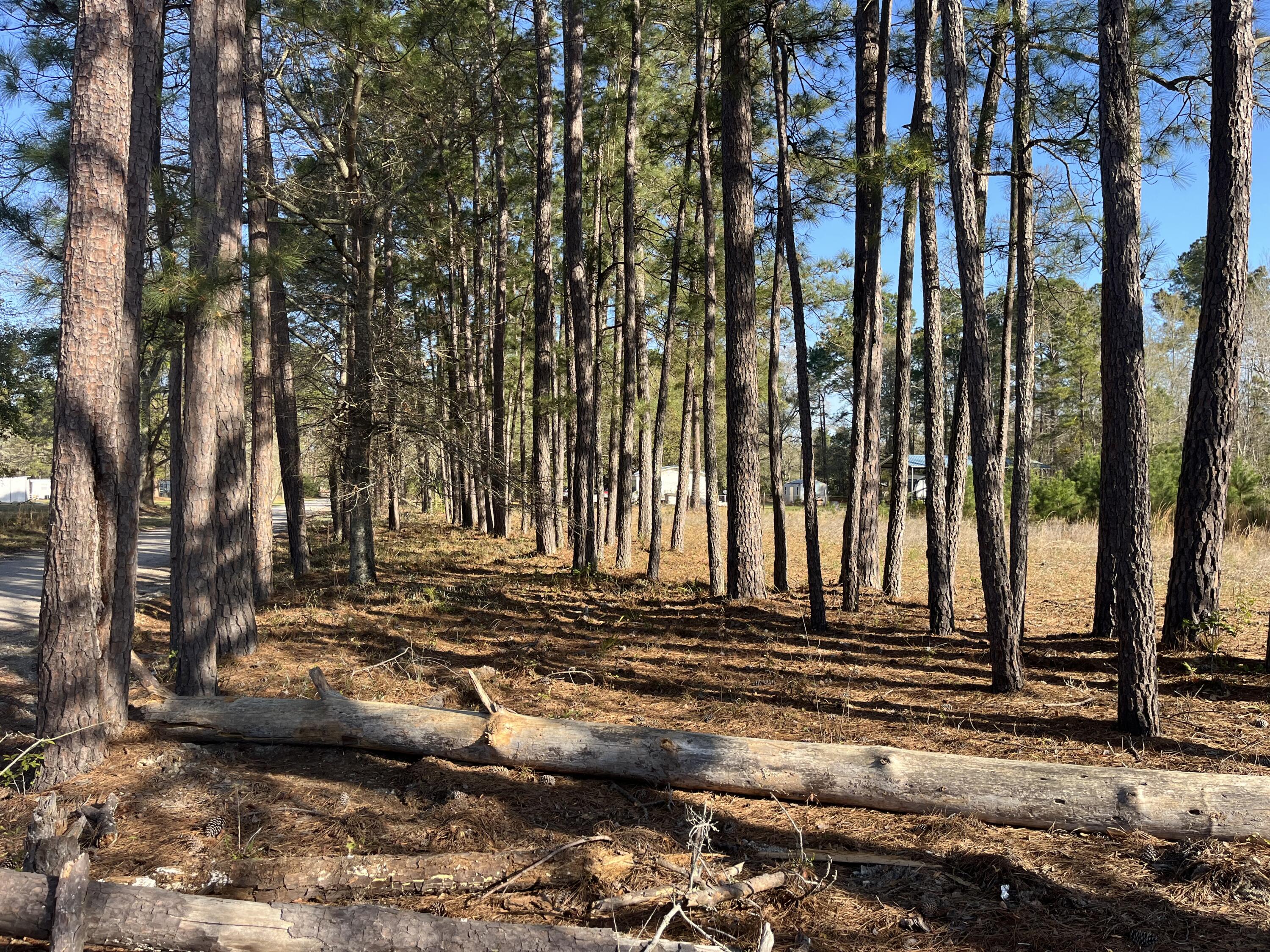 379 Chestnut Road Walterboro, SC 29488 - Photo 27 of 33 IMG_2860