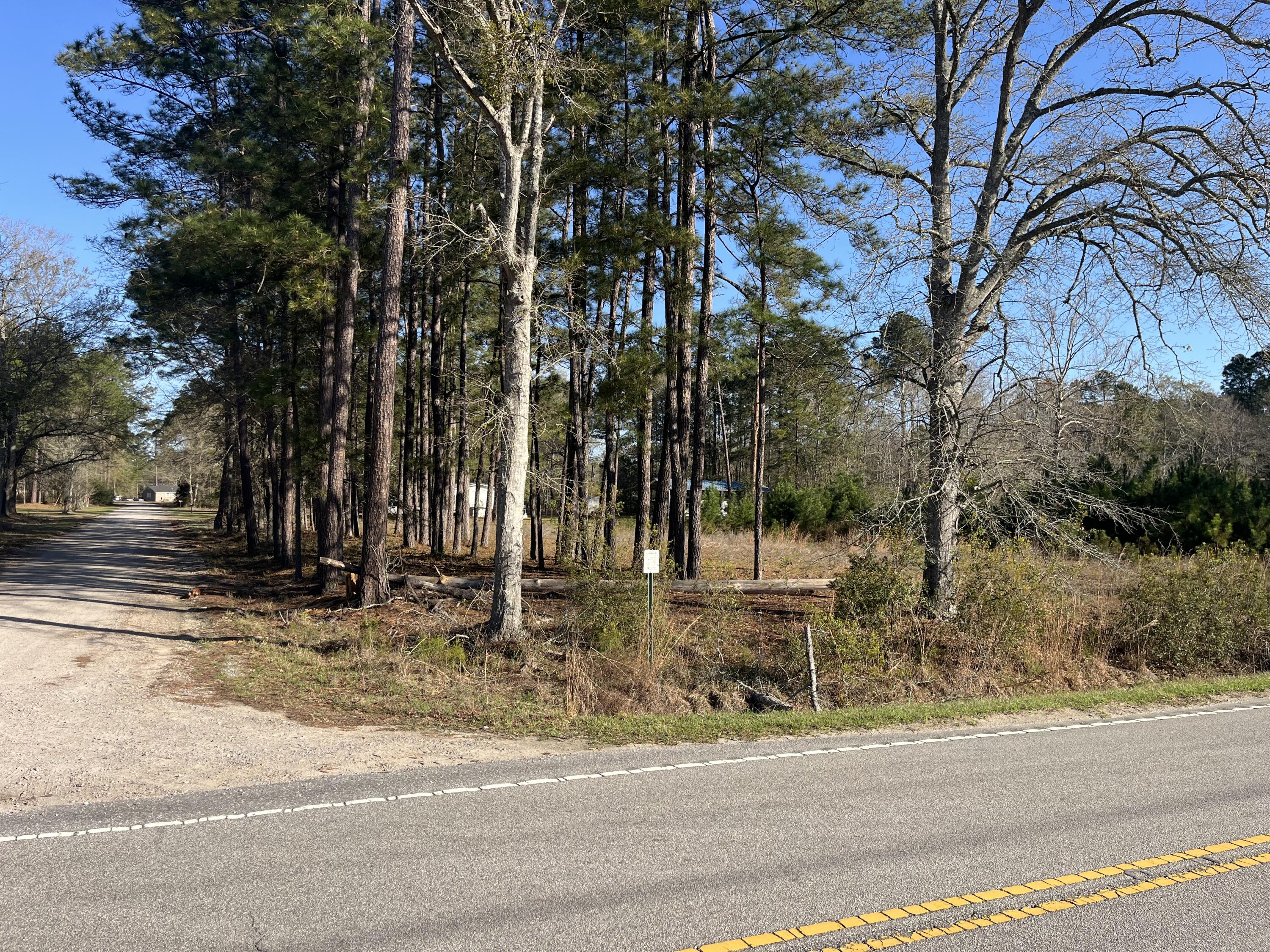 379 Chestnut Road Walterboro, SC 29488 - Photo 28 of 33 IMG_2859