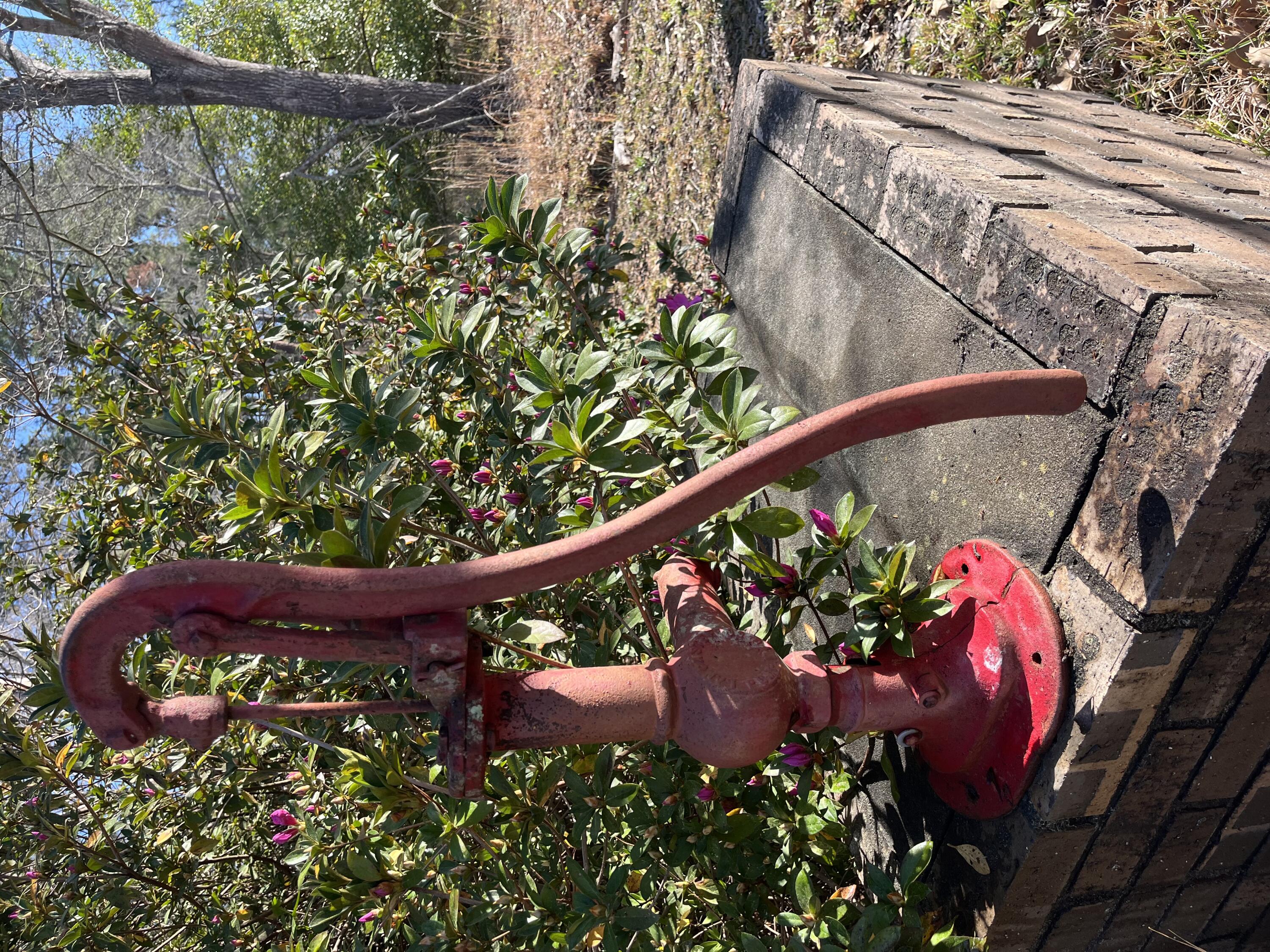 379 Chestnut Road Walterboro, SC 29488 - Photo 30 of 33 IMG_2873