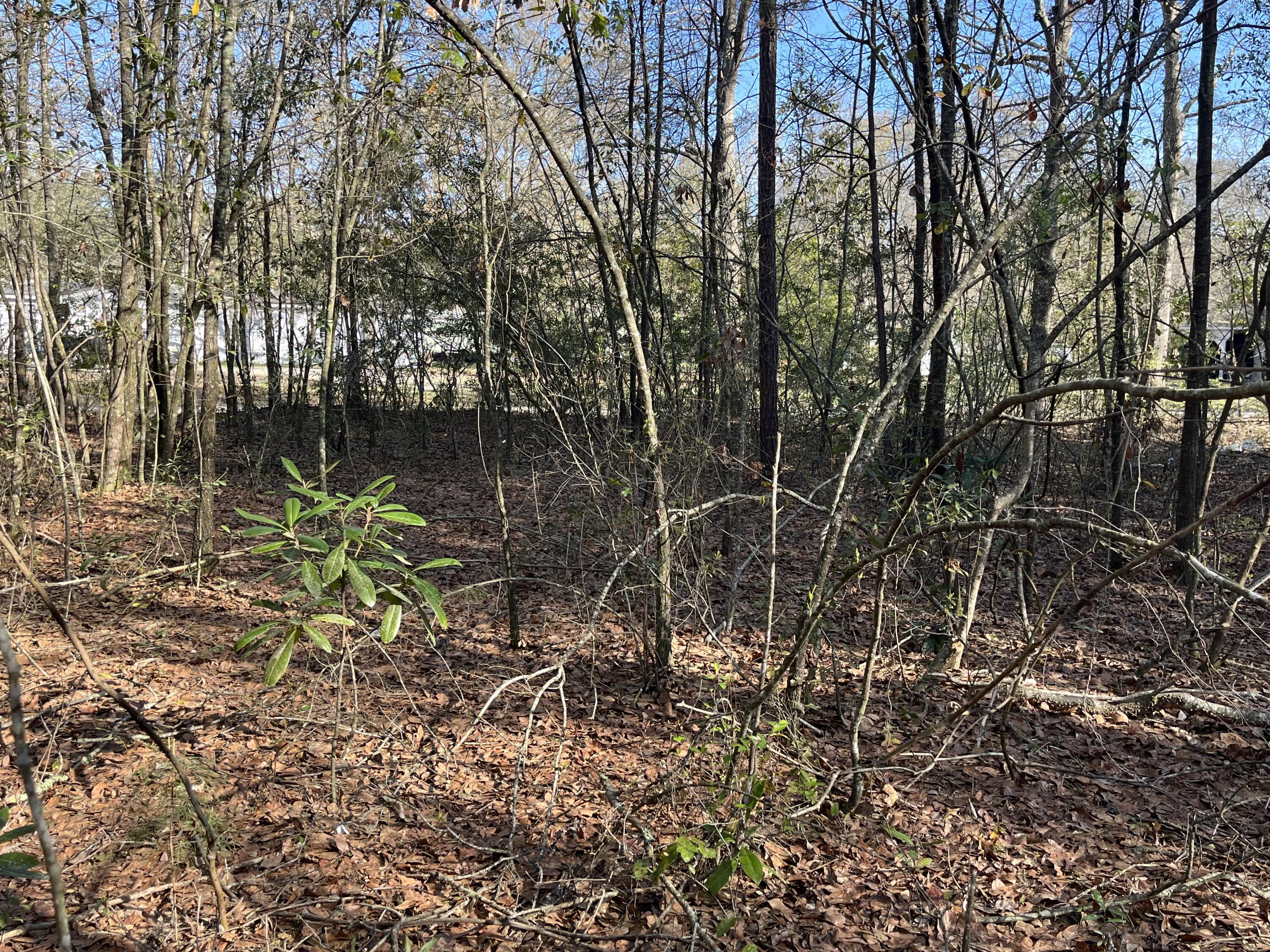 379 Chestnut Road Walterboro, SC 29488 - Photo 32 of 33 IMG_2876