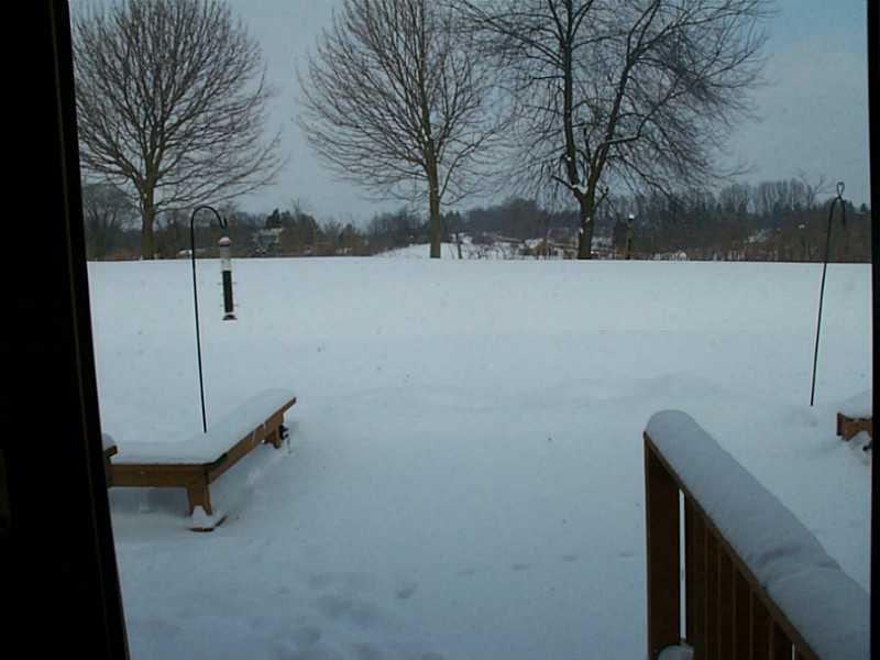 121 Rancindin Drive Butler, PA 16002 - Photo 23 of 25 View. View looking out onto the back yard from the family room