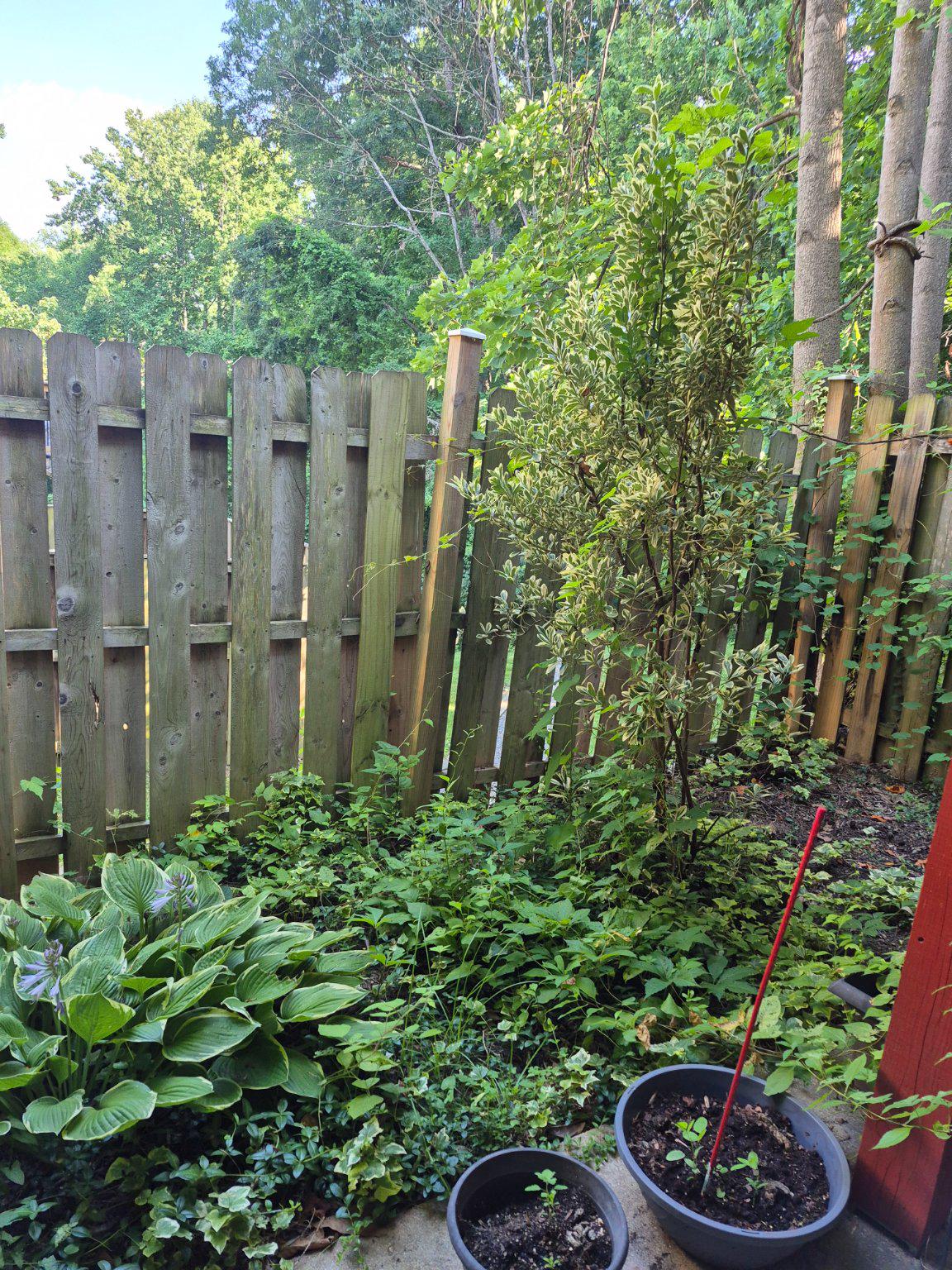 13806 Carter House Way, Unit 16145 Silver Spring, MD 20904 - Photo 8 of 45 Fenced in yard for total privacy.