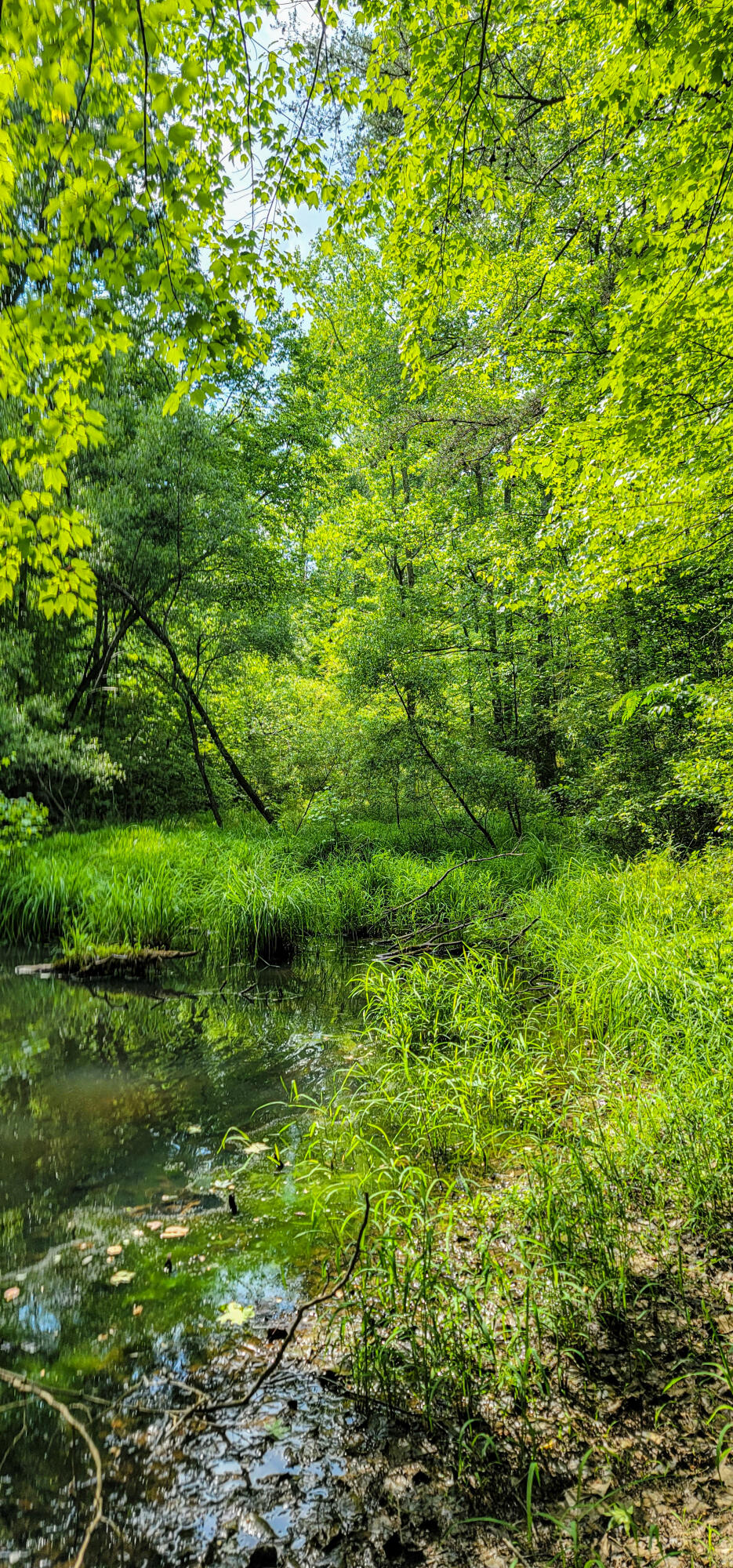 10501 High Point Road Ooltewah, TN 37363 - Photo 11 of 28 Pond-164020