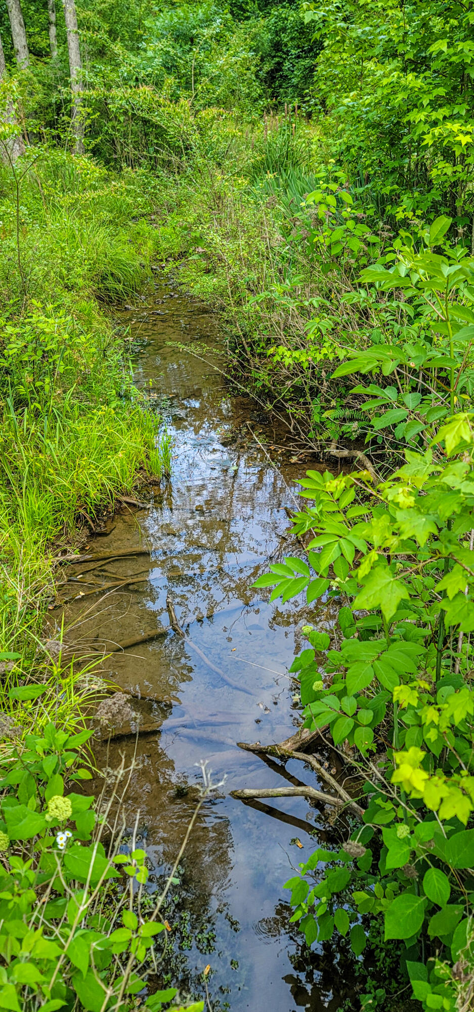 10501 High Point Road Ooltewah, TN 37363 - Photo 12 of 28 Spring Stream-171937