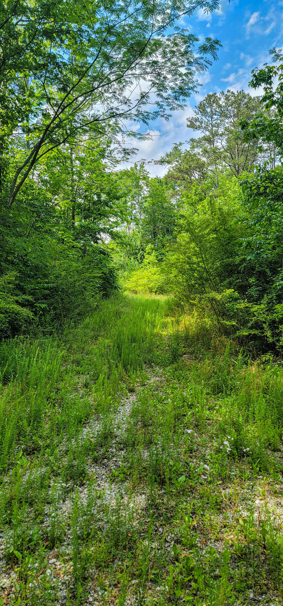 10501 High Point Road Ooltewah, TN 37363 - Photo 14 of 28 Trail_Power Line-164205