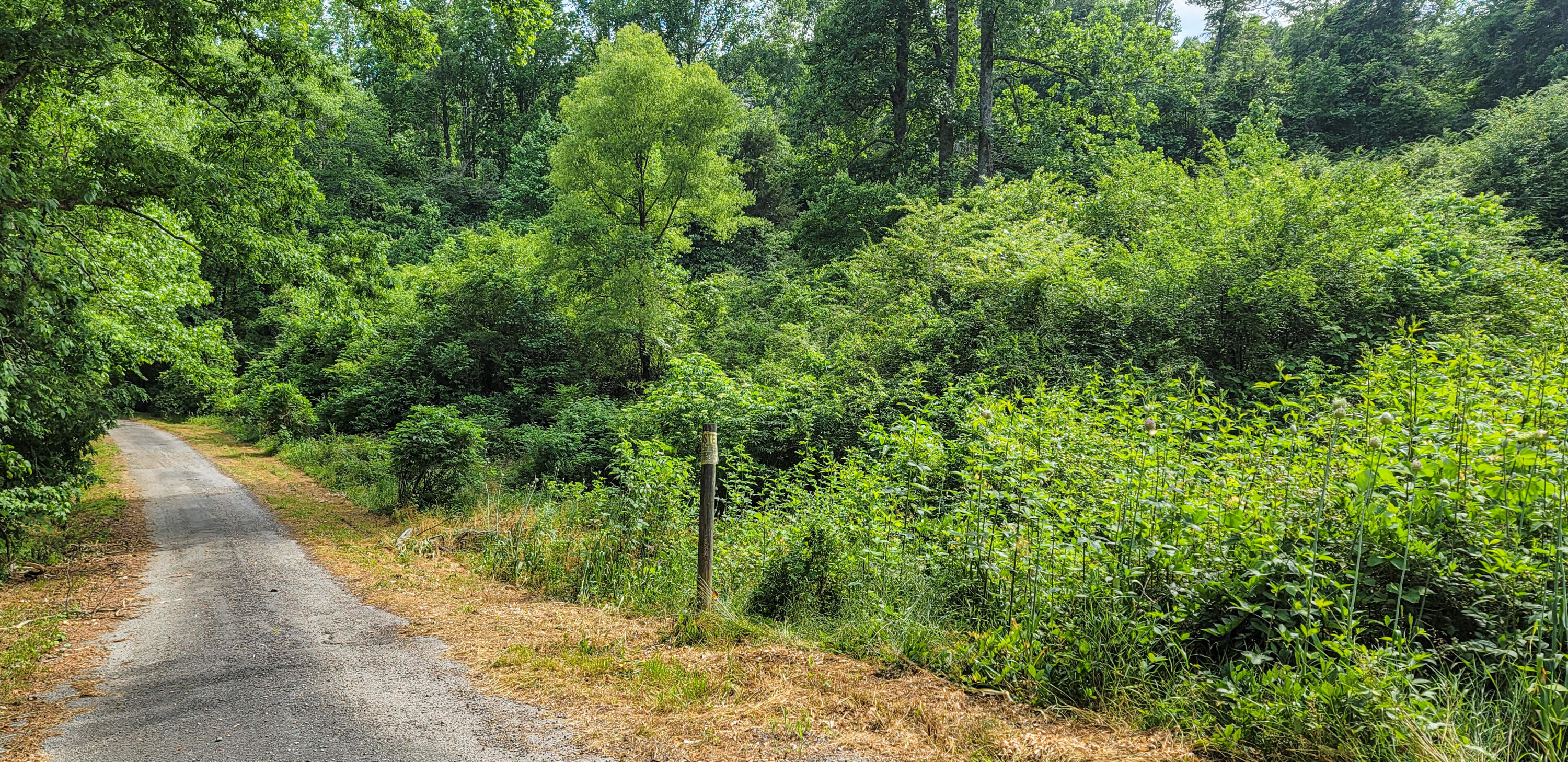 10501 High Point Road Ooltewah, TN 37363 - Photo 2 of 28 Drive-163638