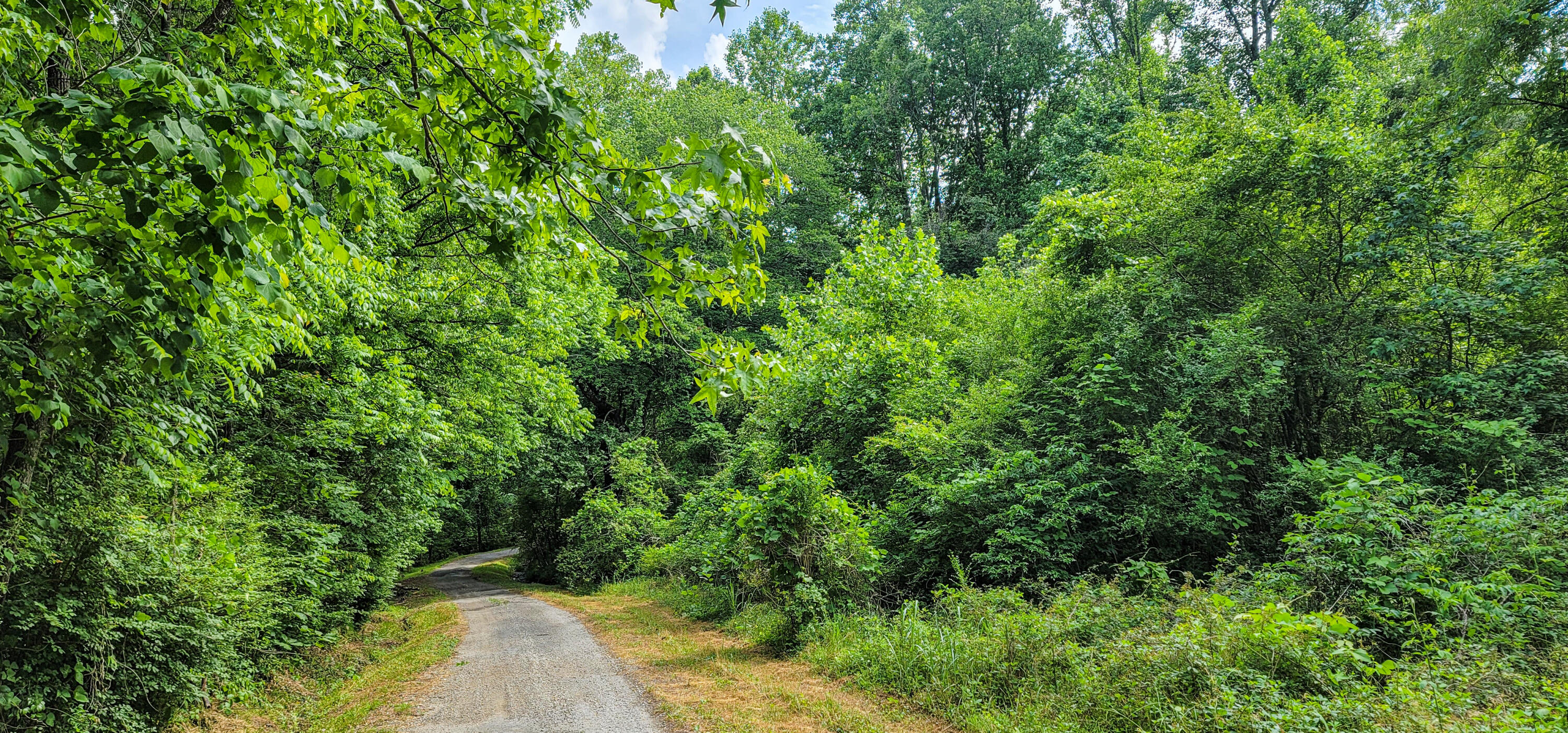 10501 High Point Road Ooltewah, TN 37363 - Photo 3 of 28 Drive-163743
