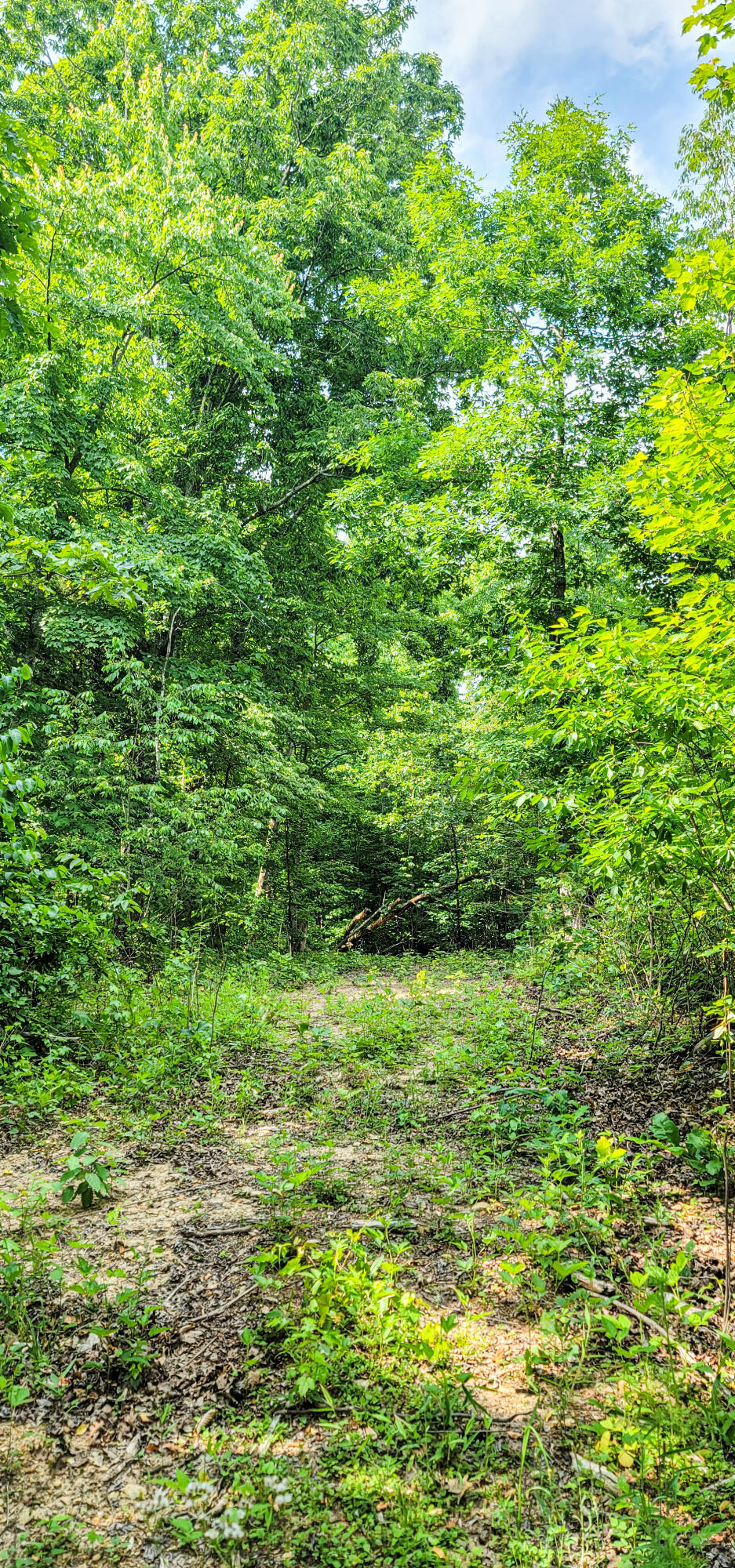 10501 High Point Road Ooltewah, TN 37363 - Photo 21 of 28 Trail-165242