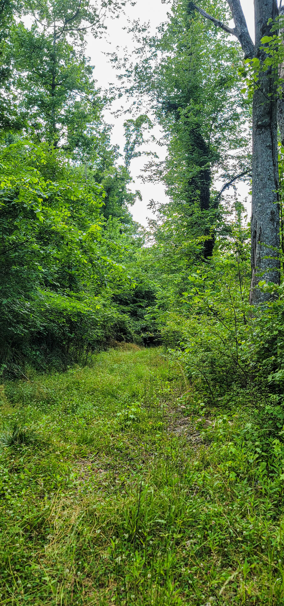 10501 High Point Road Ooltewah, TN 37363 - Photo 22 of 28 Trail-172109