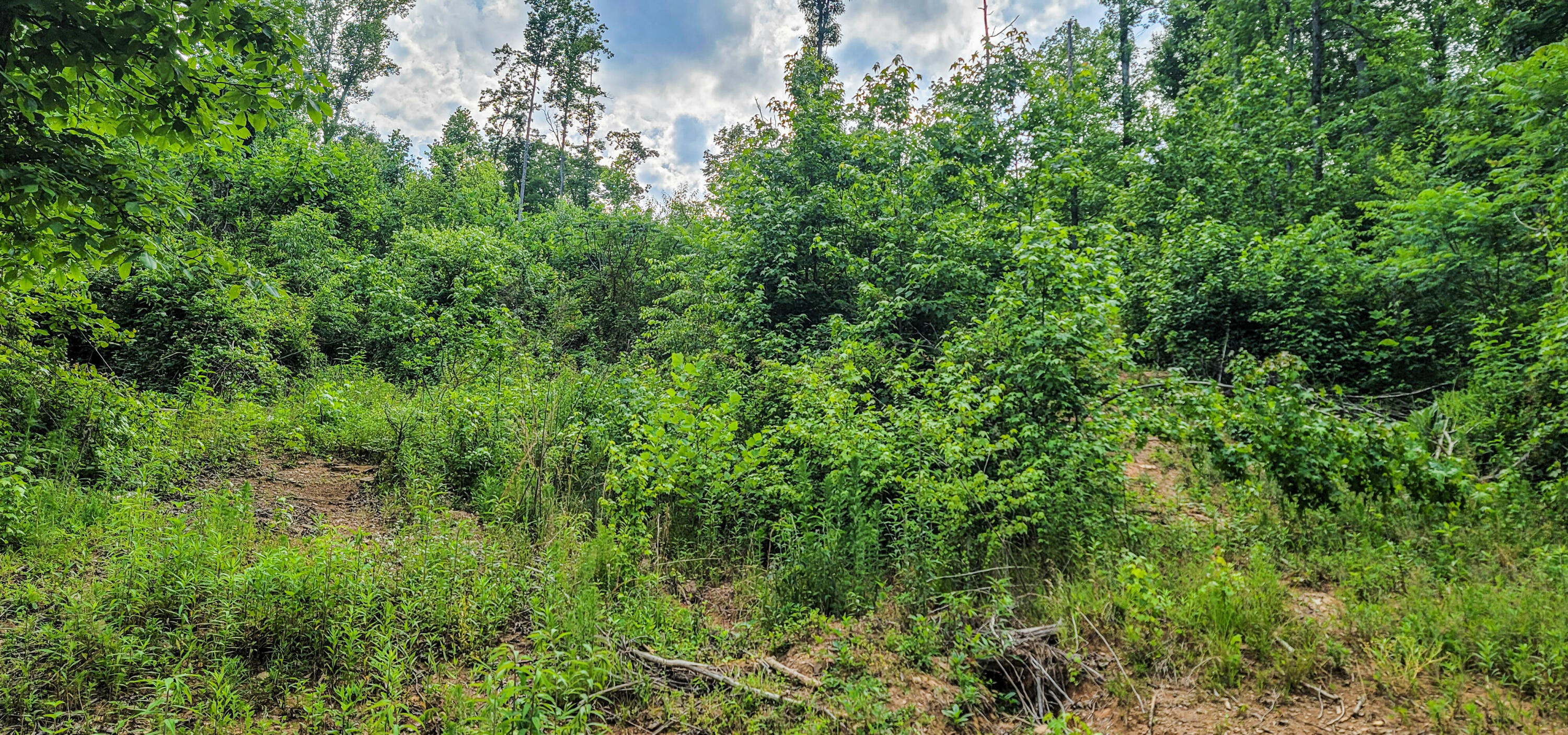 10501 High Point Road Ooltewah, TN 37363 - Photo 23 of 28 Trail-172349