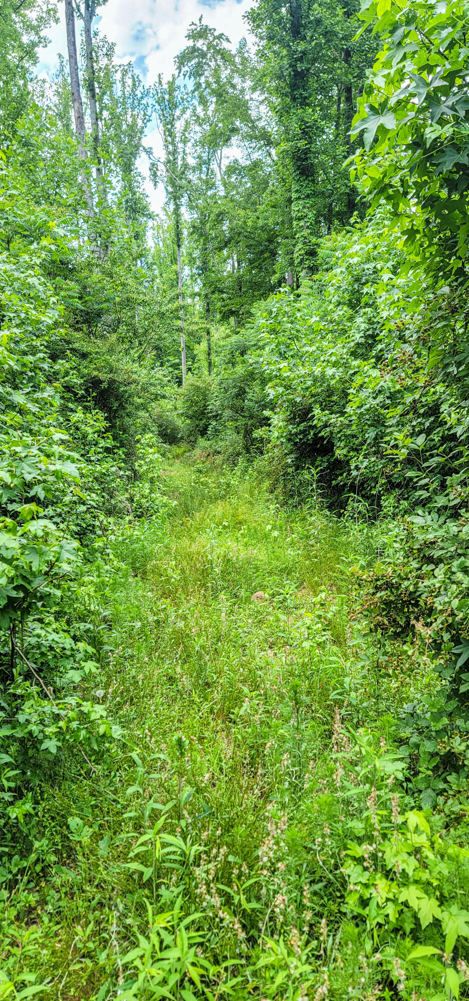 10501 High Point Road Ooltewah, TN 37363 - Photo 24 of 28 Trail-172505