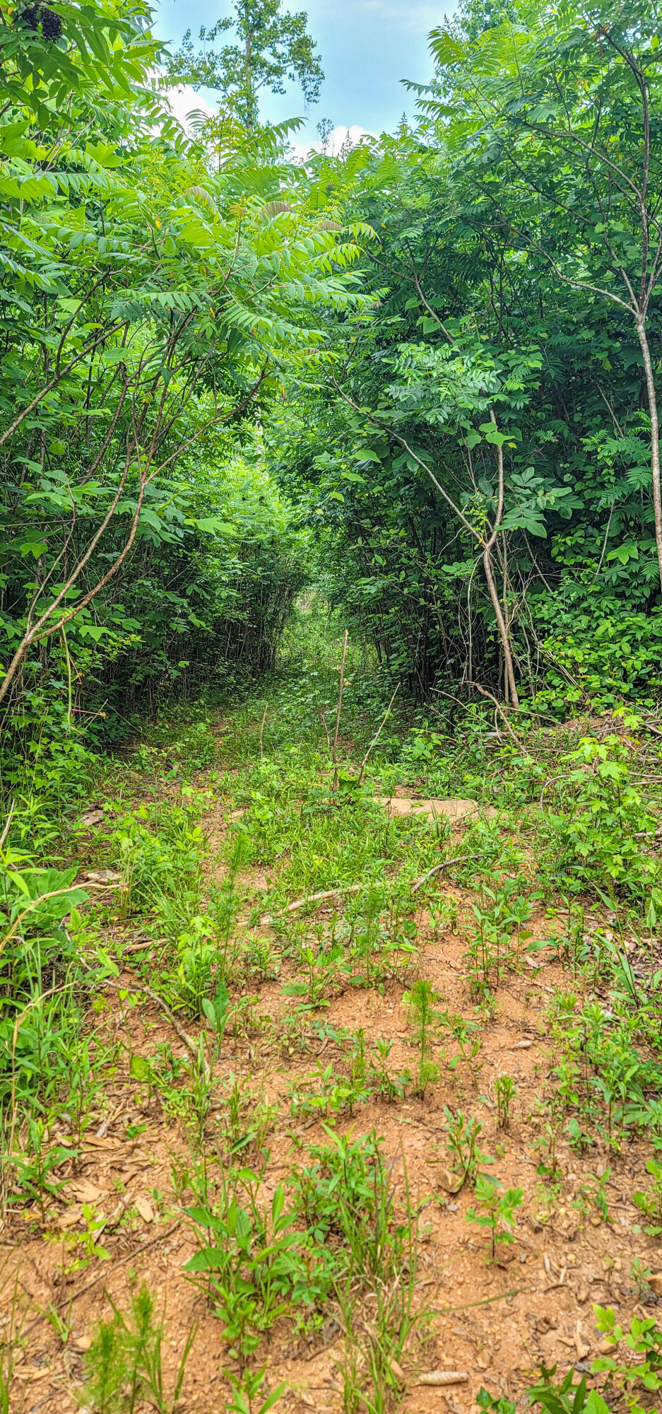 10501 High Point Road Ooltewah, TN 37363 - Photo 26 of 28 Trail-173334