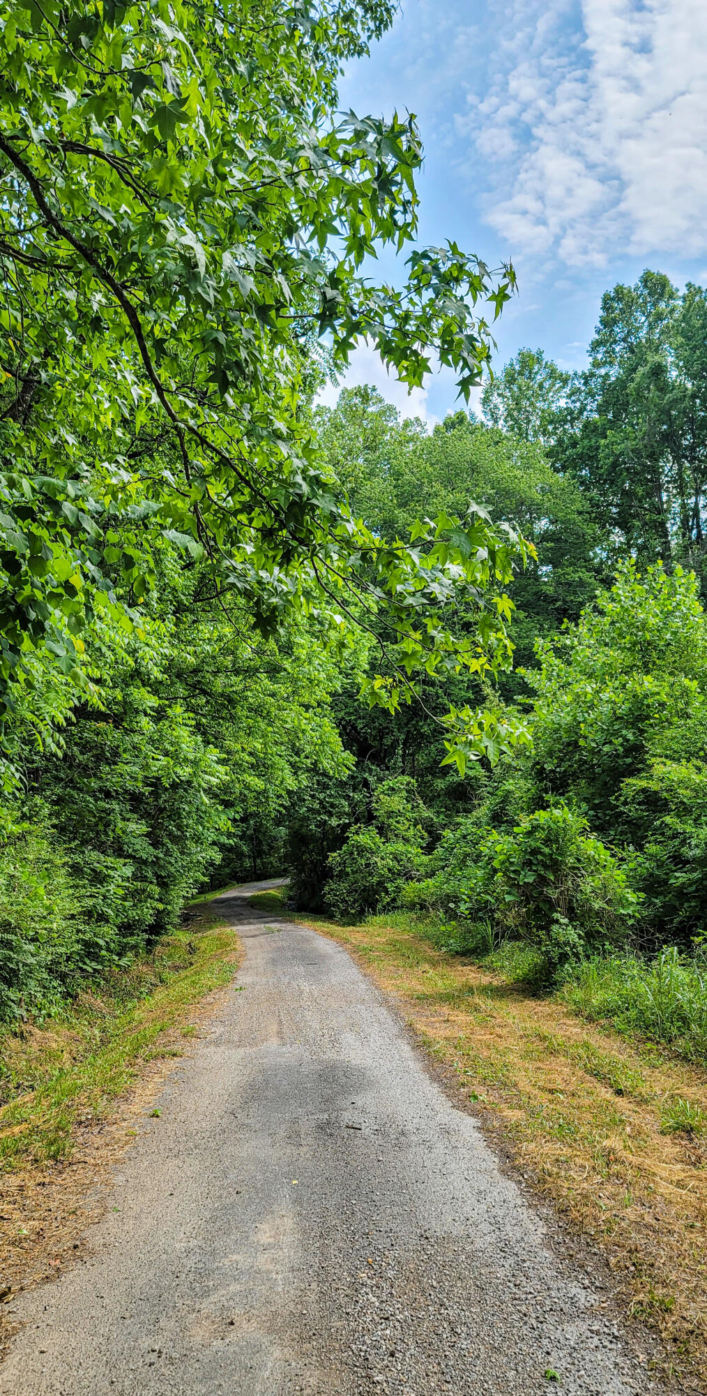 10501 High Point Road Ooltewah, TN 37363 - Photo 7 of 28 Drive-163736