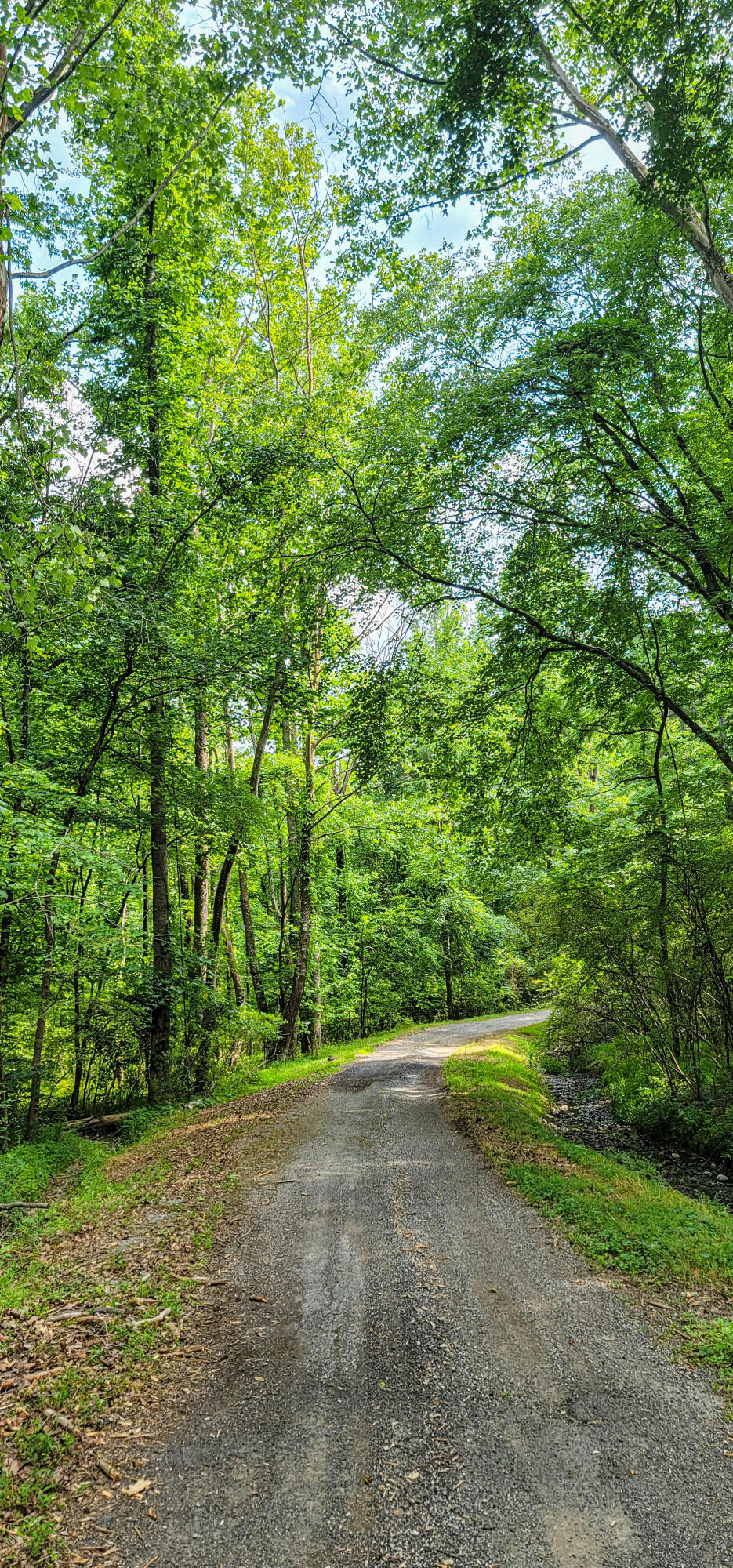 10501 High Point Road Ooltewah, TN 37363 - Photo 8 of 28 Drive-163827