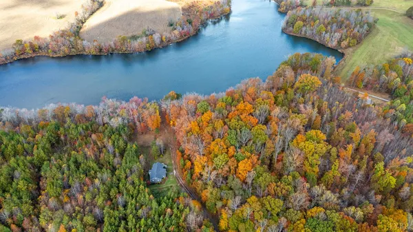 a close up of a plant