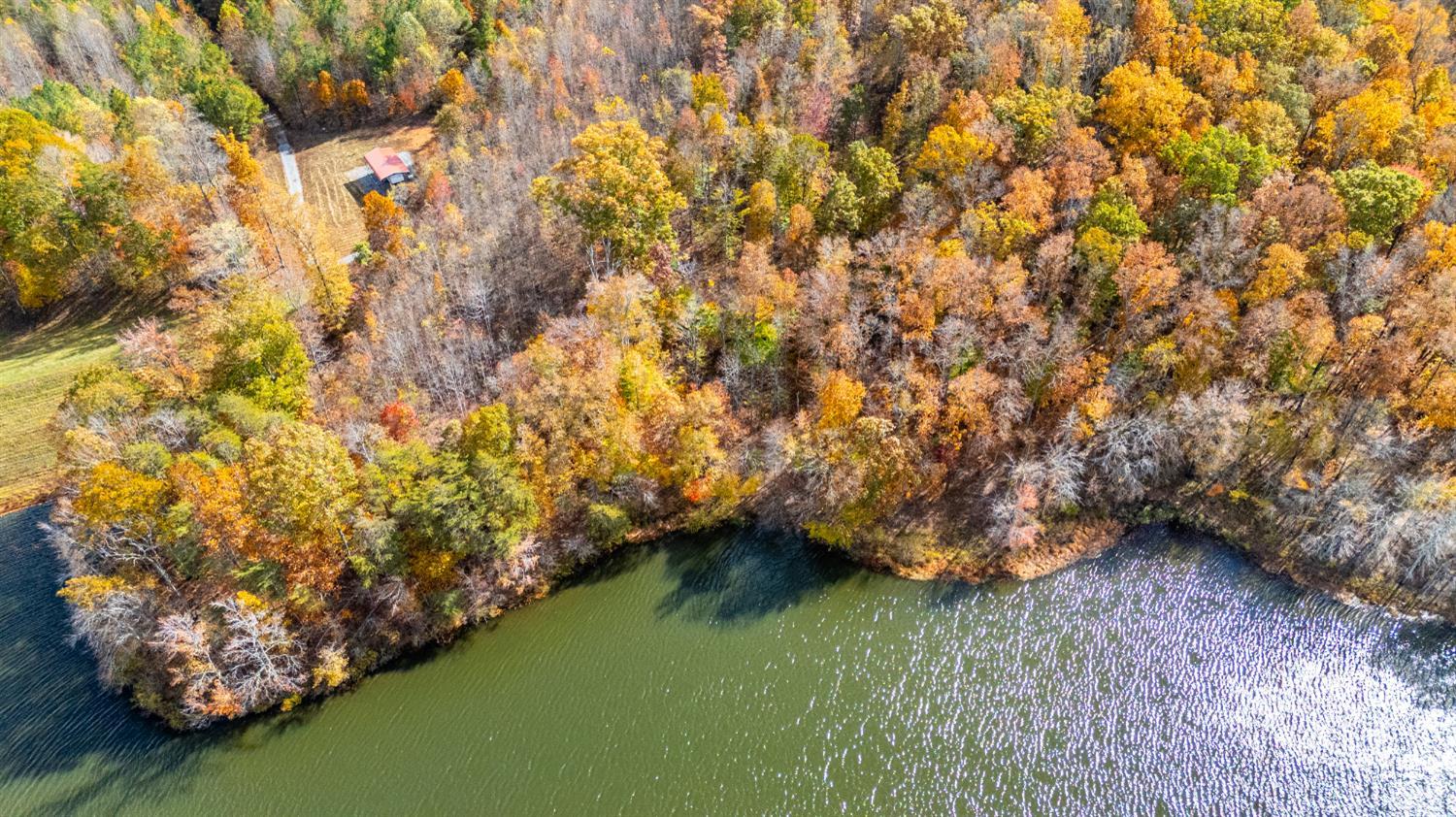 0 Pin Oak Road Prospect, VA 23960 - Photo 15 of 25 a view of an outdoor space and a lake view