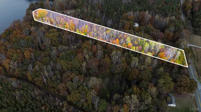 a close up of a plant