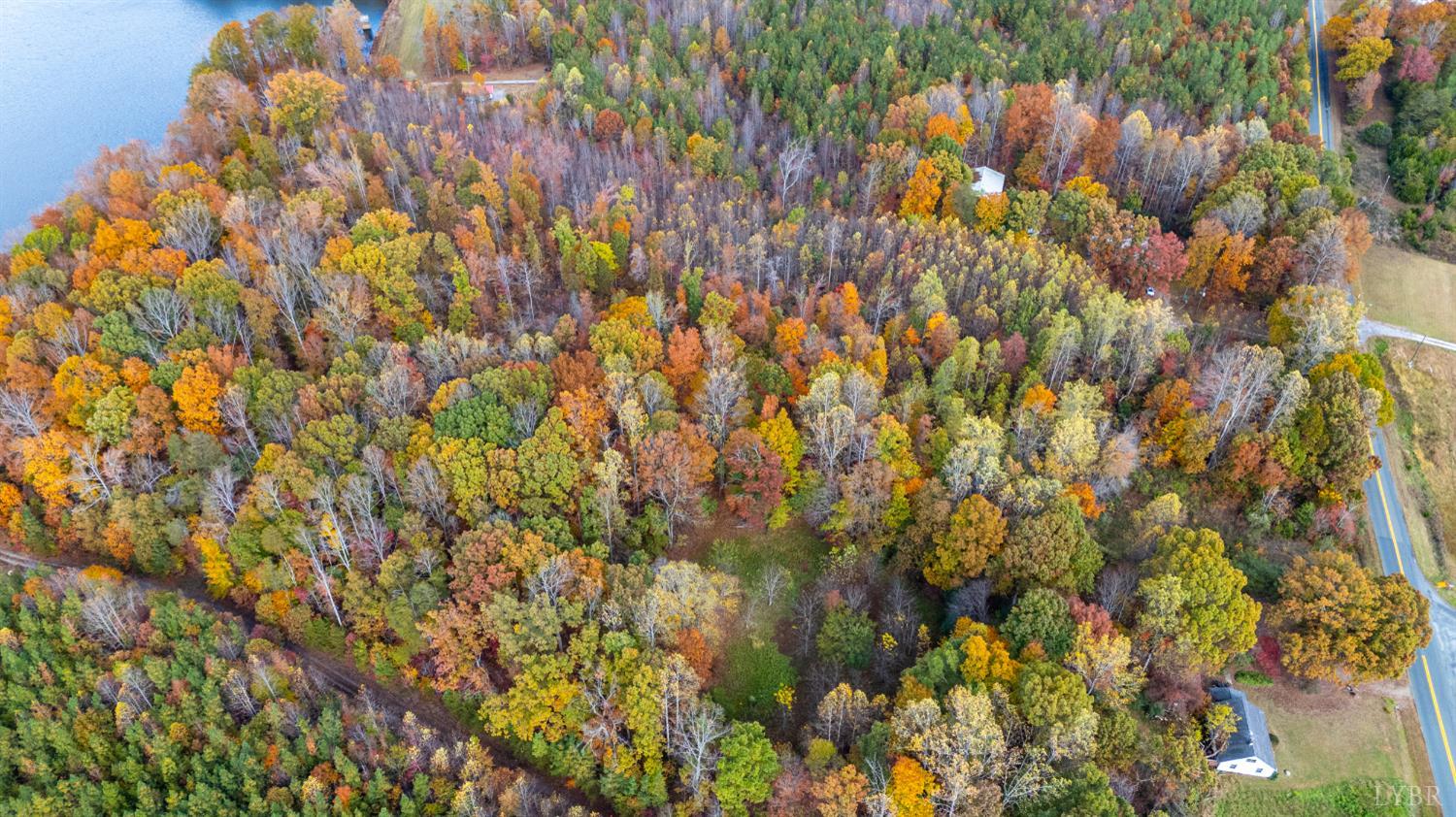 0 Pin Oak Road Prospect, VA 23960 - Photo 10 of 25 a close up of a plant