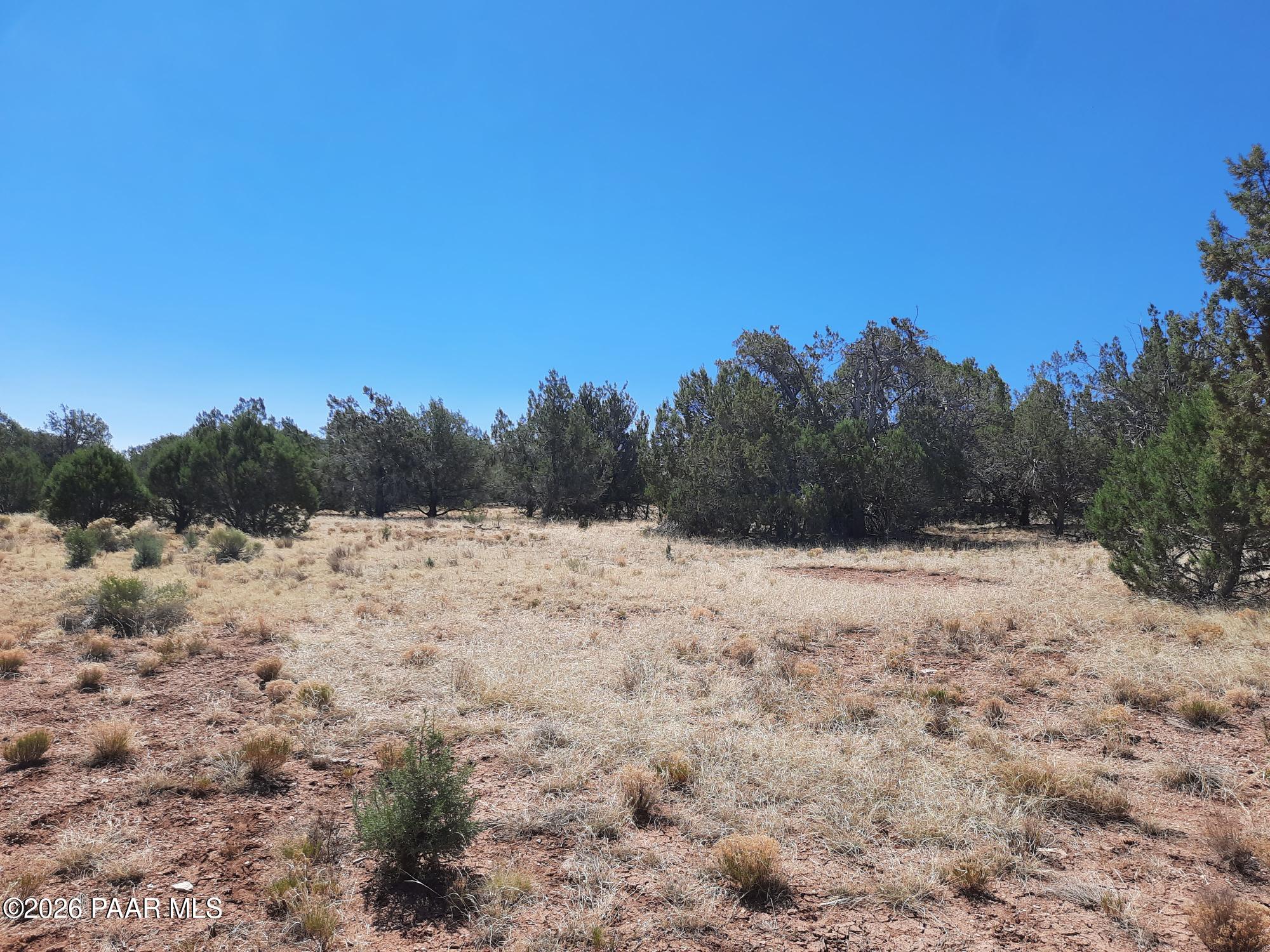 3 J Off Duffy Road Seligman, AZ 86337 - Photo 8 of 12 20220612_100831
