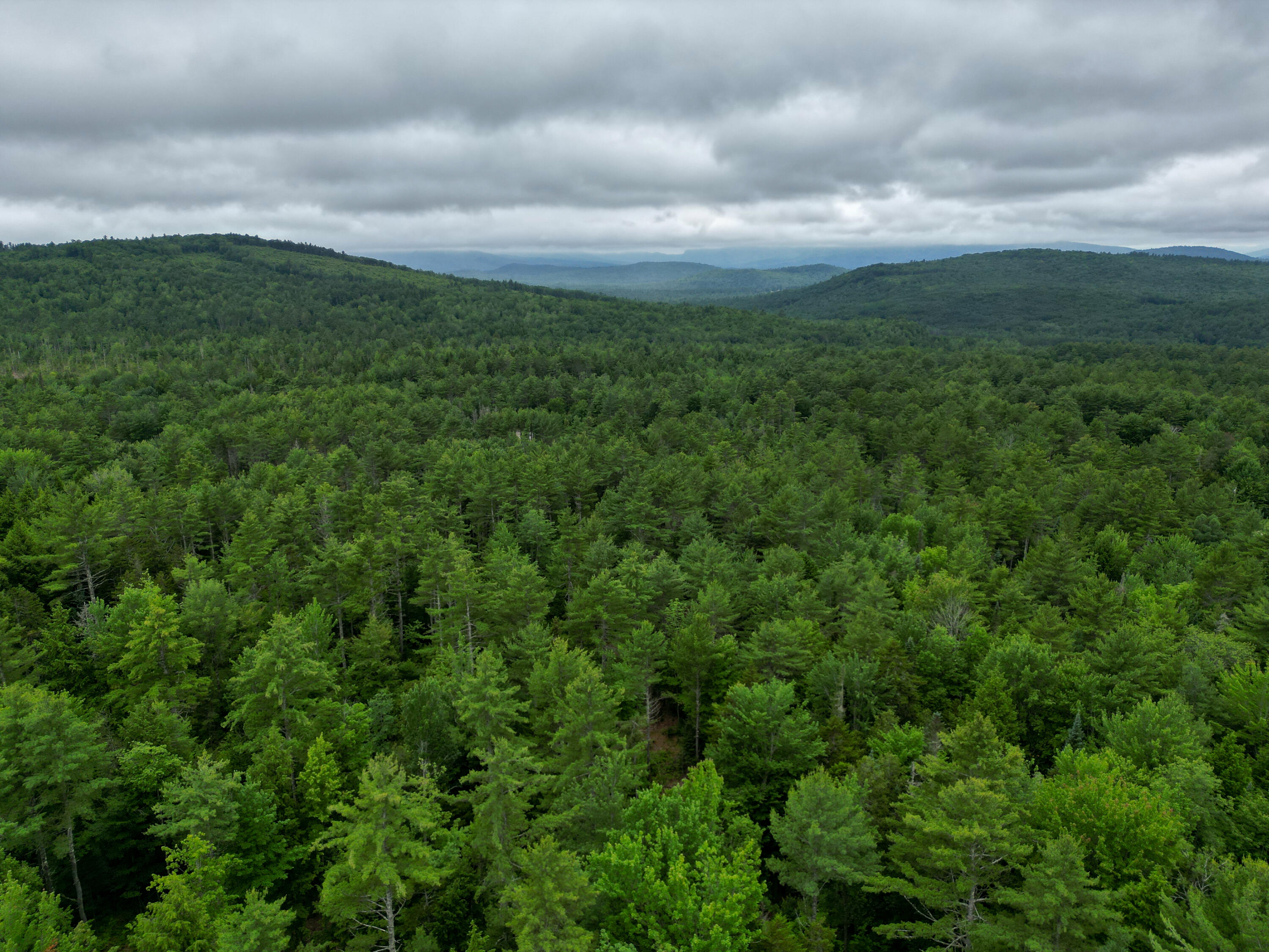Lot 30 Irish Neighborhood Road Bethel, ME 04217 - Photo 13 of 24 DJI_0618