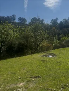 a view of a field with an ocean