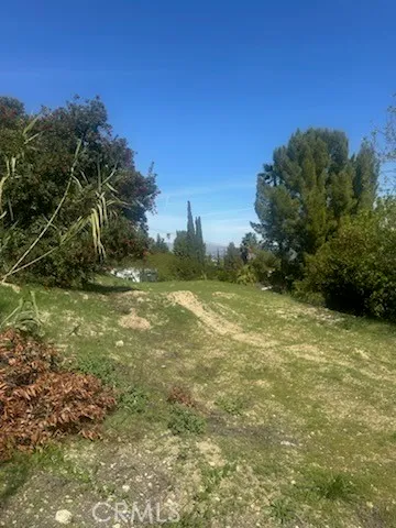 a view of a field with an trees